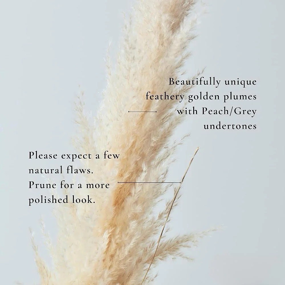 XL Pampas Grass 48”Inch 10 Stems Natural Decor Tall Boho Home Wedding