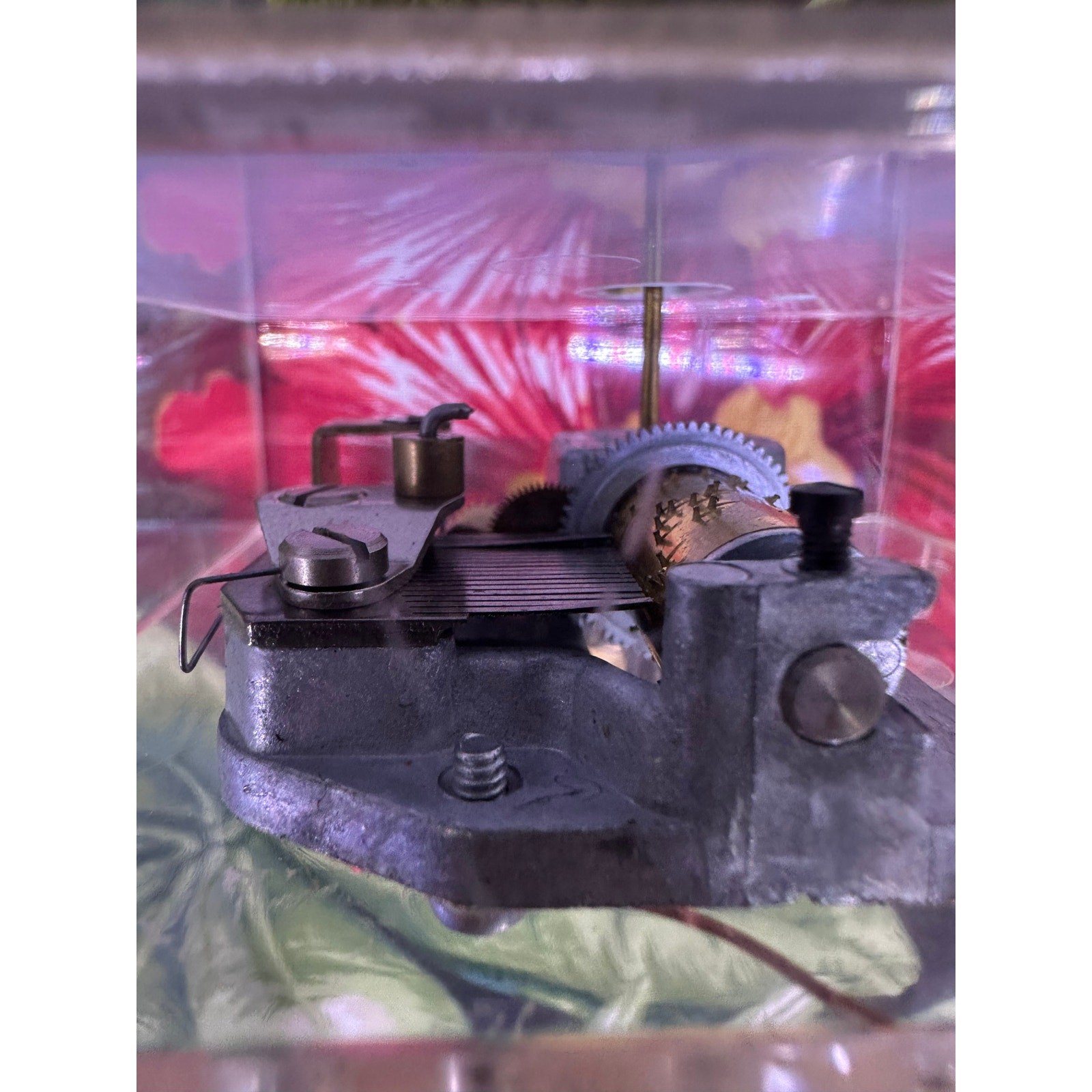 Vintage Unique Monarch Butterfly Clear Working Musical Box