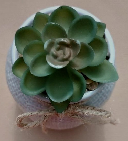 Rustic Ceramic Succulent Vase Jute Bow Textured Gray & White Planter Home Decor