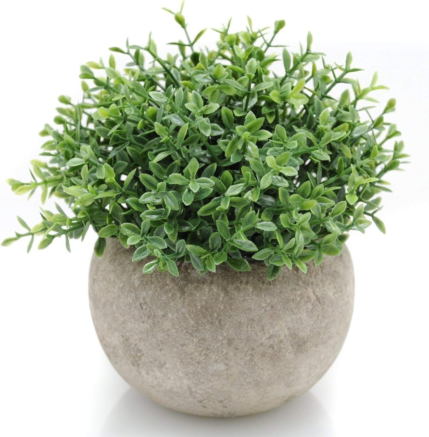 Elegant Mini Boxwood Topiary Plant – Dust Resistant and Eco-Friendly Decor