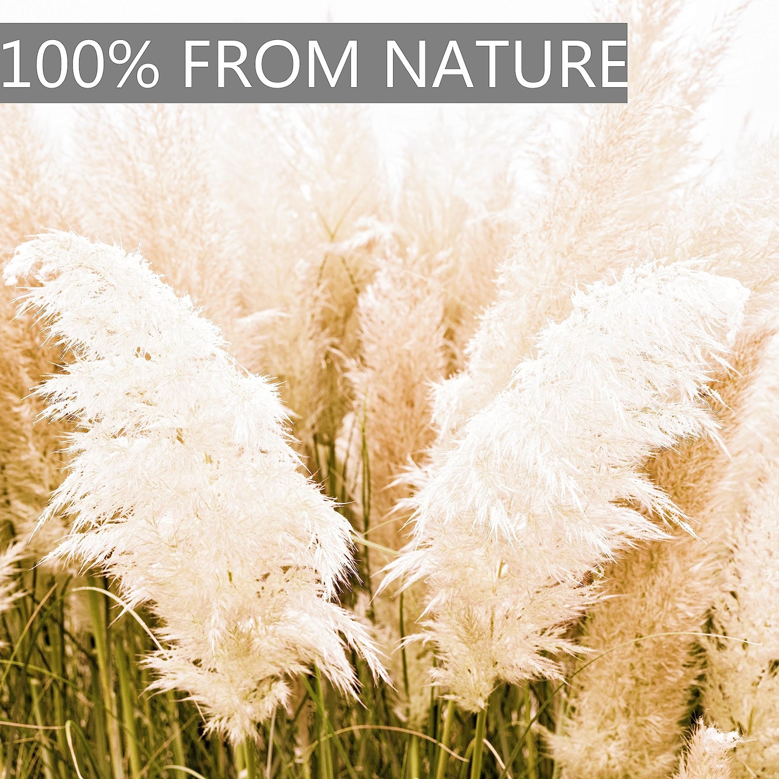 20pcs 40 Tall Pampas Grass Decor, Pompas Floral, Floor Vases, Living Room