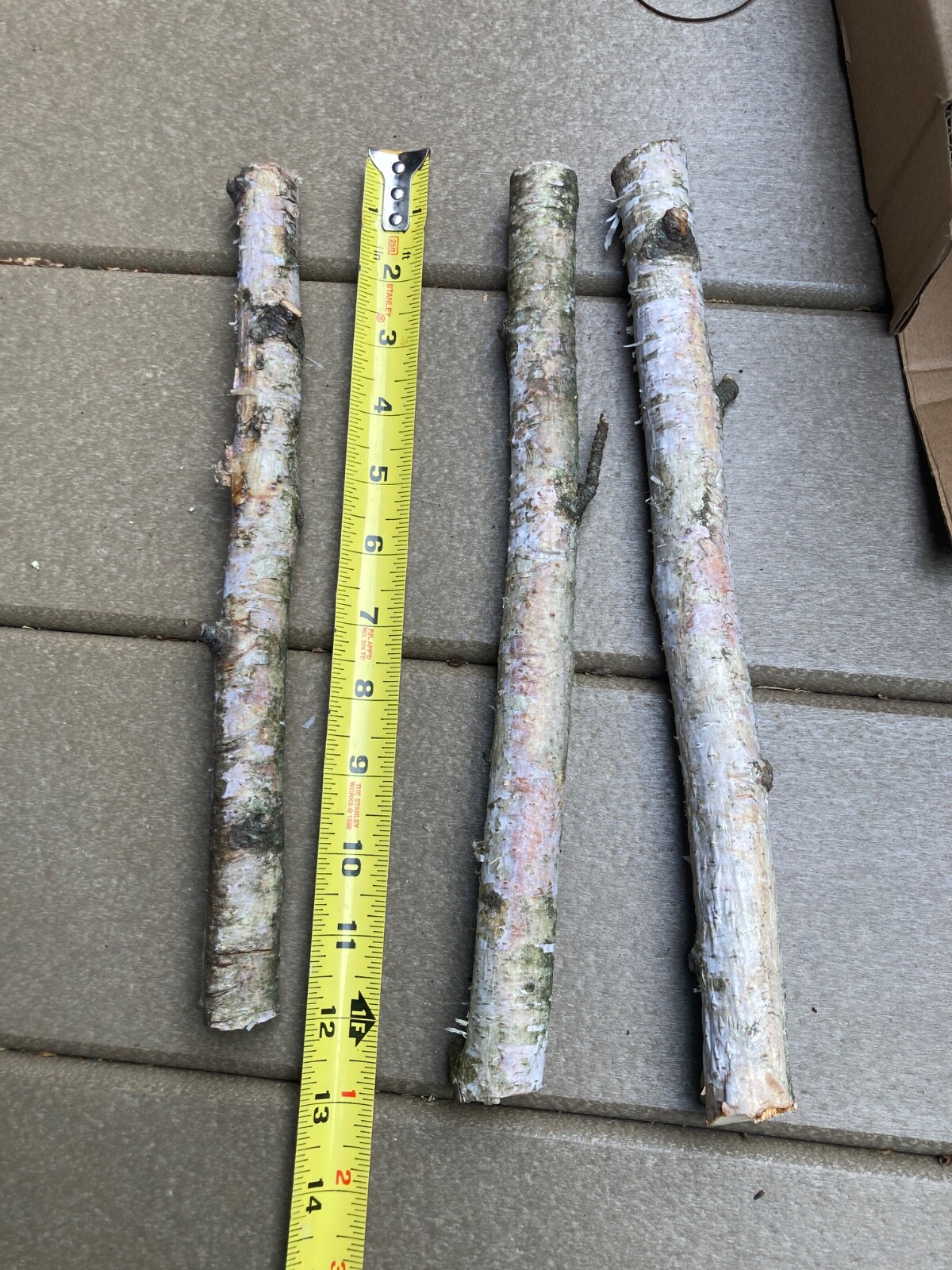 3 pc Natural Dried Tree Branch Birch Stick Flower Home Garden Party Floral Decor