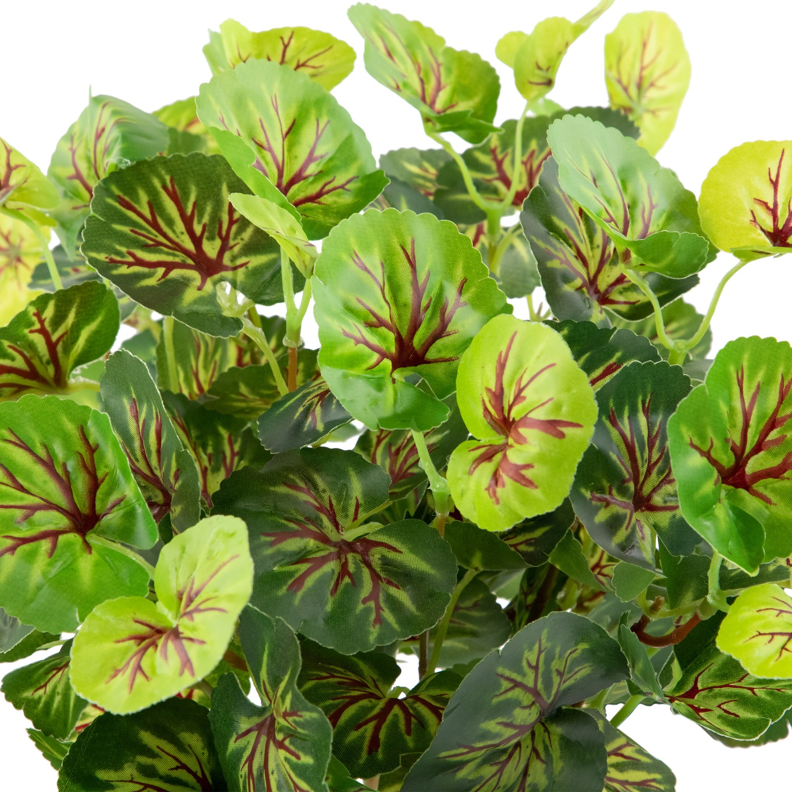 Northlight 18.5″ Decorative Artificial Two Tone Green Begonia Spring Floral Bush