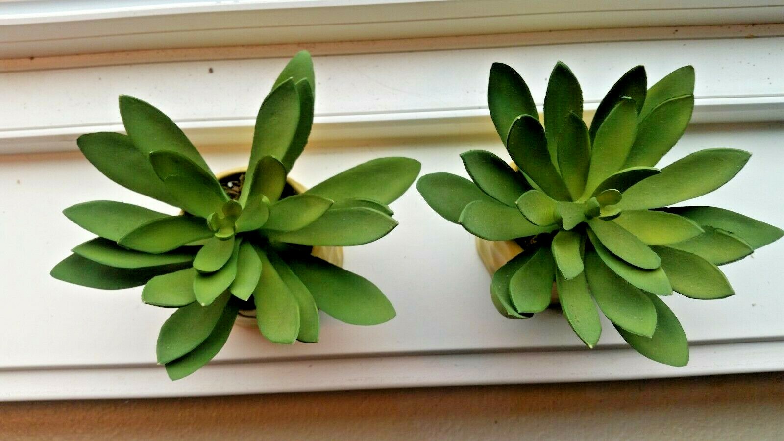 Chartreuse Threshold Tabletop Arrangements pottery succulent artificial plant ce