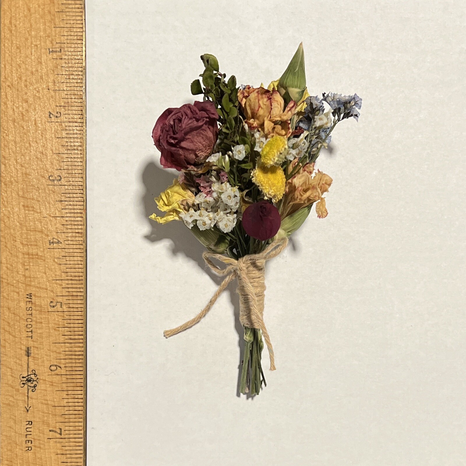 Natural Dried ROSES Flowers Floral Home Decor Crafting