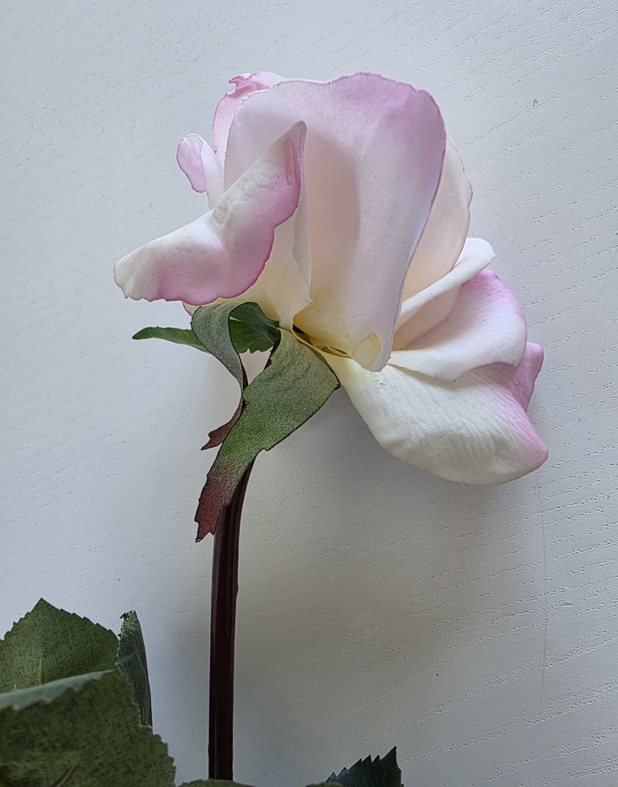 Delicate Pink & White Roses, Closed & Open, Groups of 4 *preowned, Gorgeous*