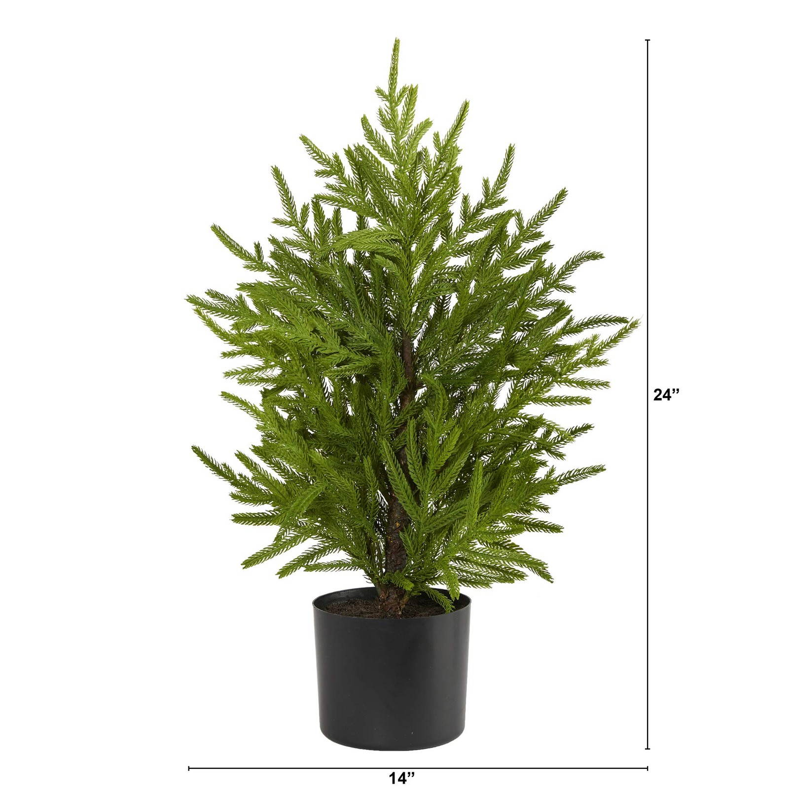 Nearly Natural 2ft. Norfolk Island Pine Look Artificial 2ft, Green