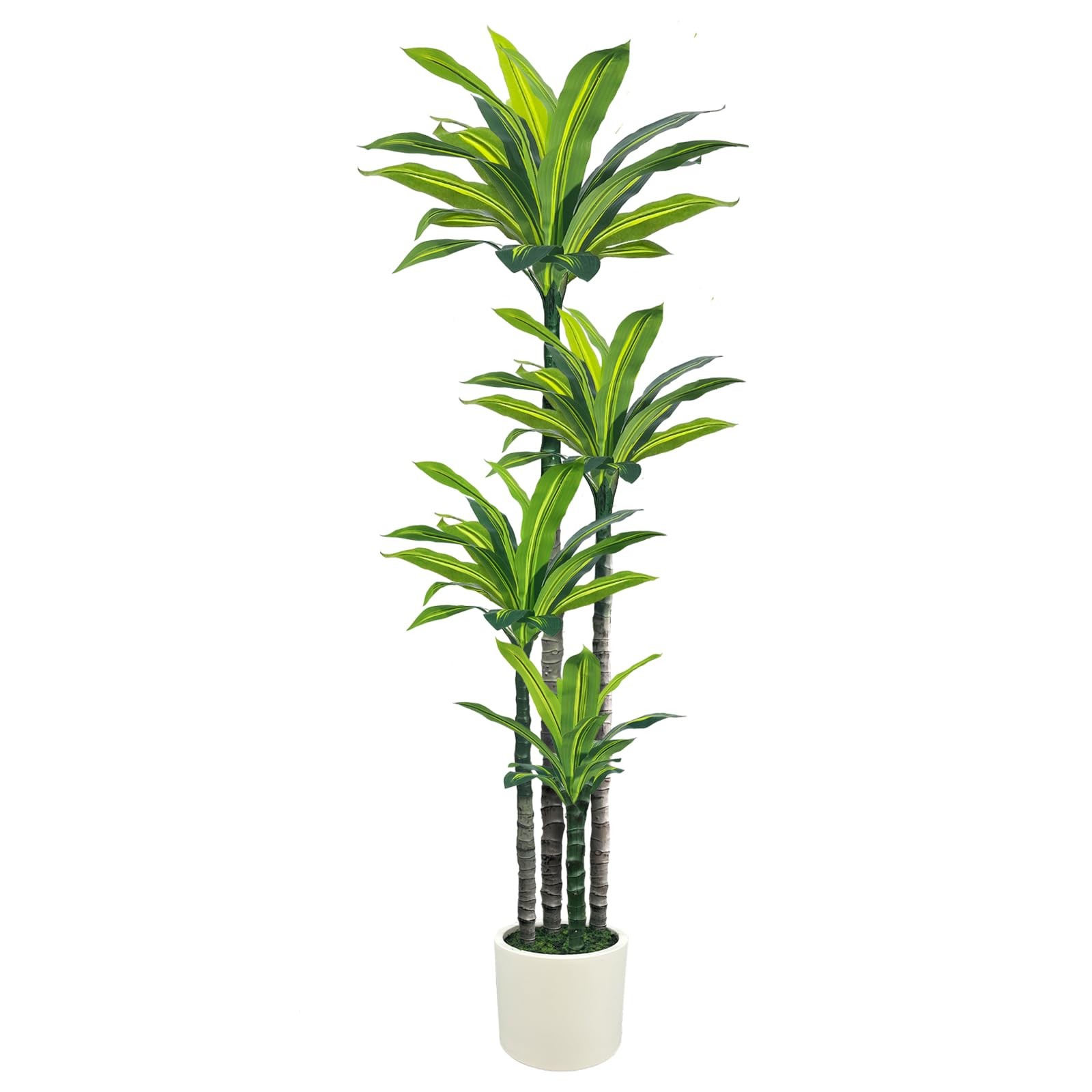 Artificial Dracaena Tree 6ft, Tall Fake Dracaena Plants with White Planter, F…