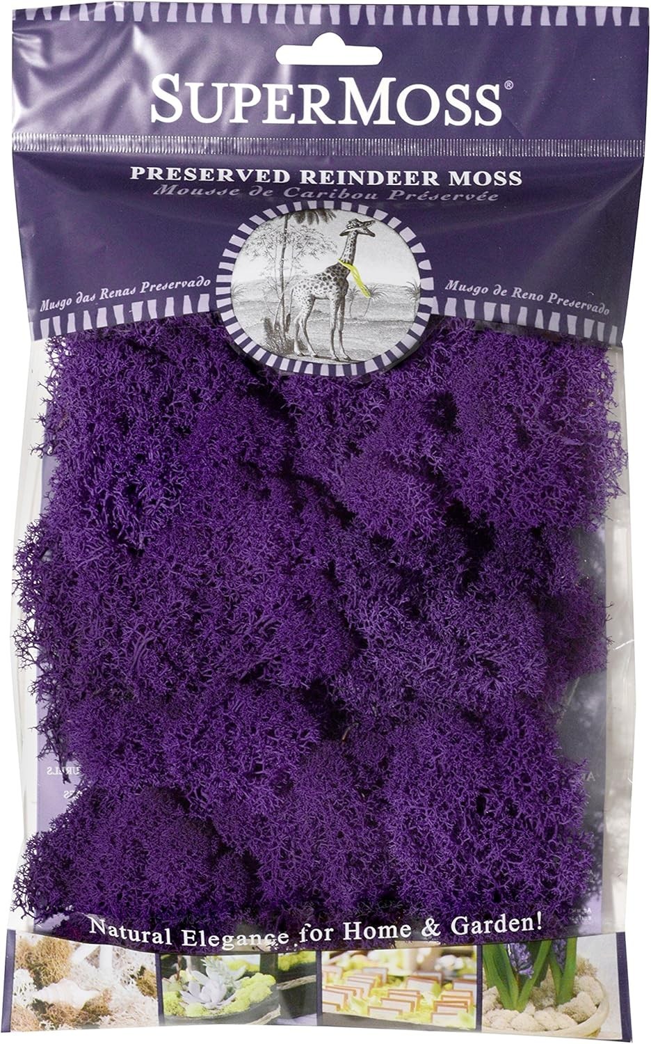 2oz of Soft, Vibrant Purple Reindeer Moss – A Delight for Eco-Conscious Crafters
