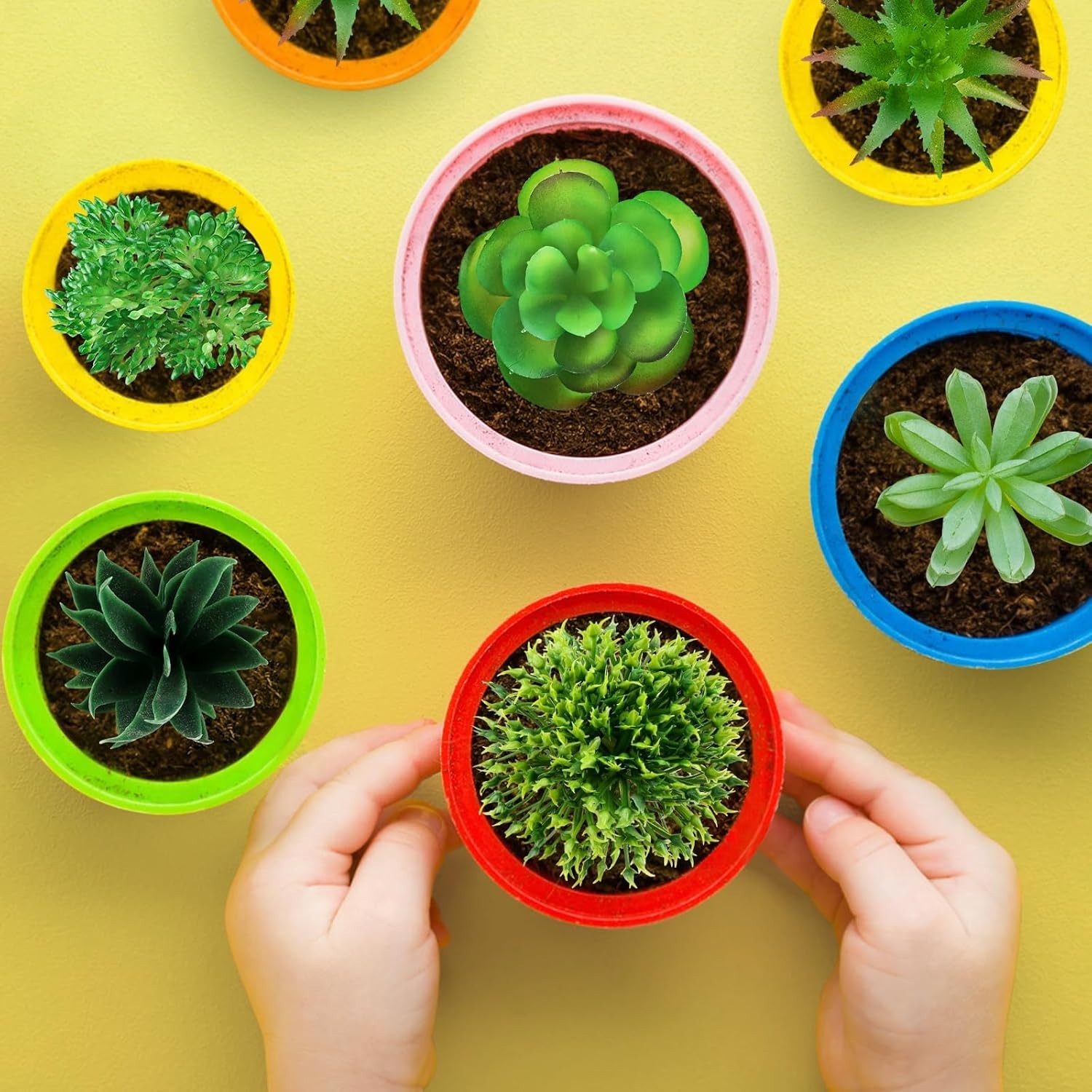 Realistic Hand-Painted Mini Succulents – Perfect for DIY Crafting & Decoration