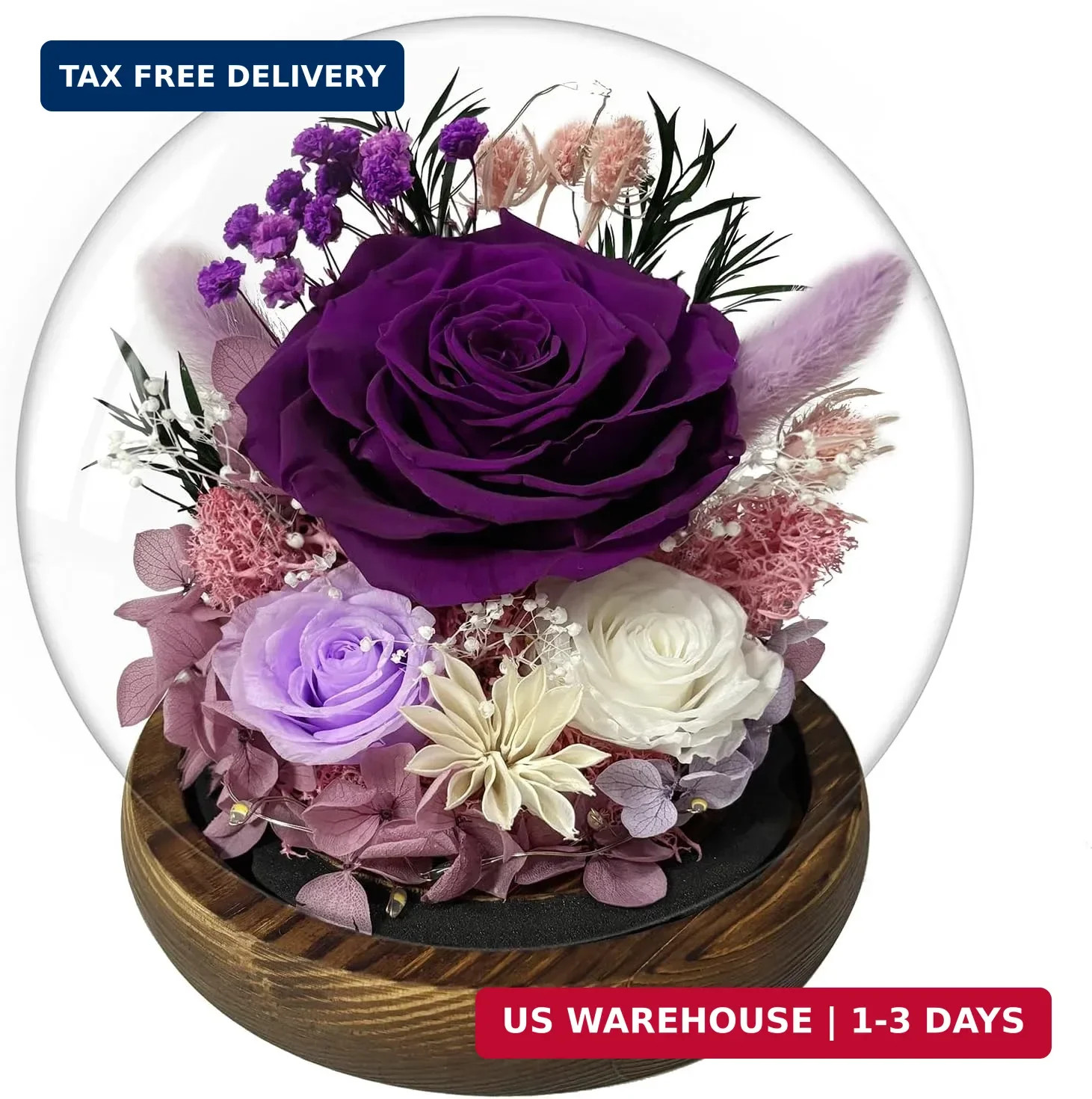 Birthday Gifts for Women Preserved Rose in Glass Dome Preserved Flowers Forever