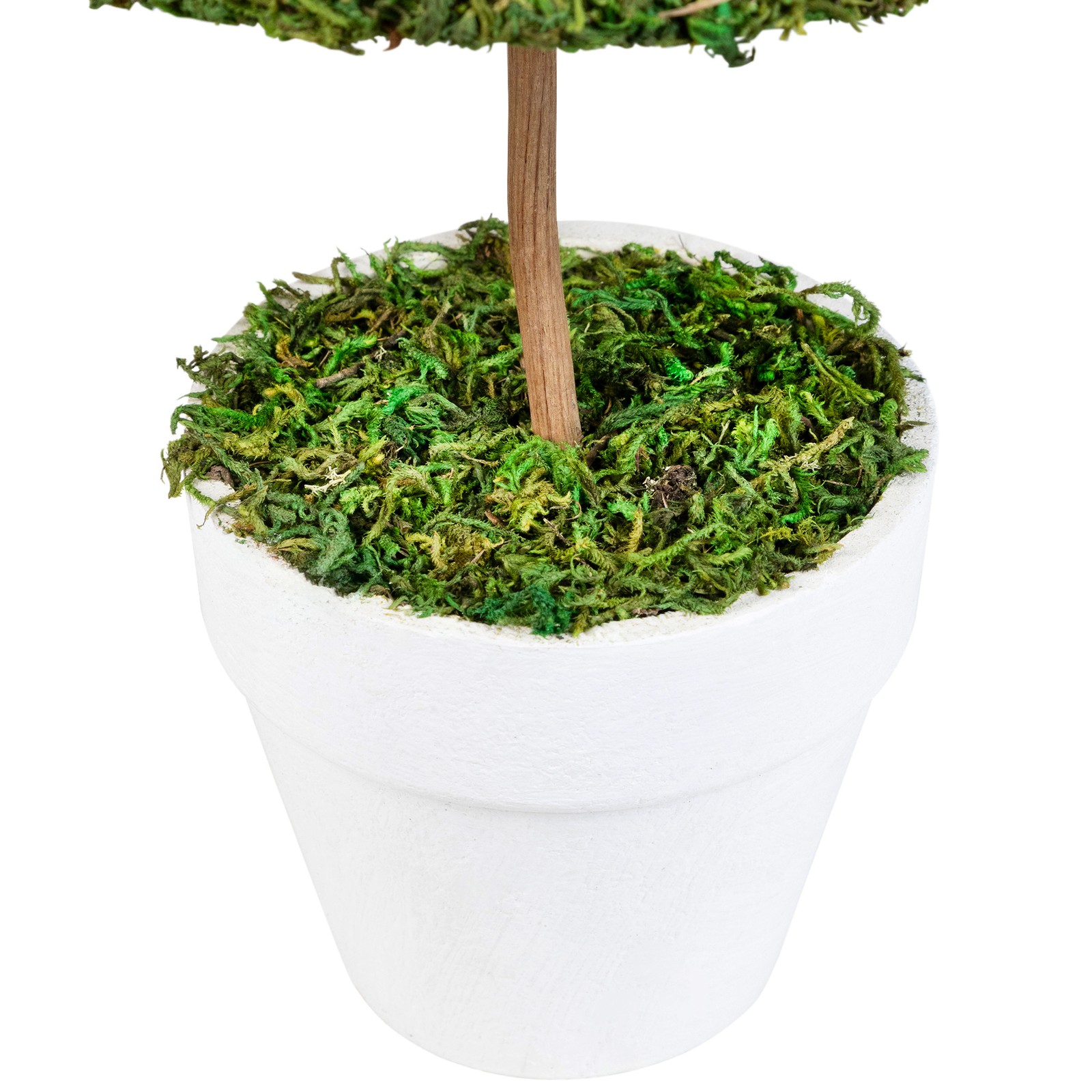 Northlight 20.5″ Green Reindeer Moss Artificial Spring Floral Topiary Tree