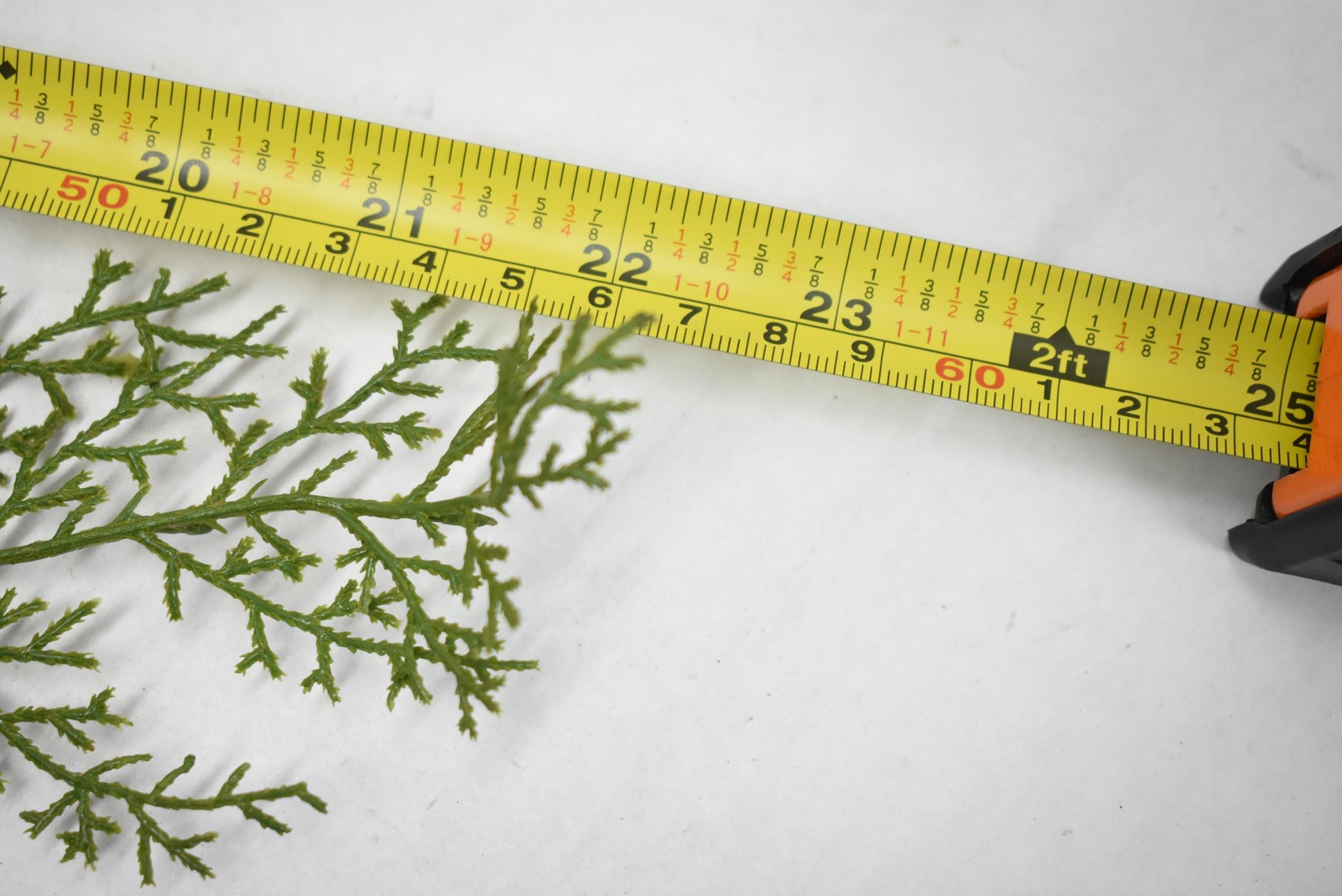 West Elm Artificial Greenery Faux 18″ Pine Branch Houseplant Branch Stem