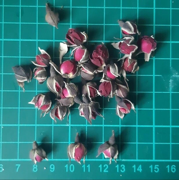 Natural Dried Rose Bud 20G Aromatherapy Home Party Interior Décor Fragrant DIY