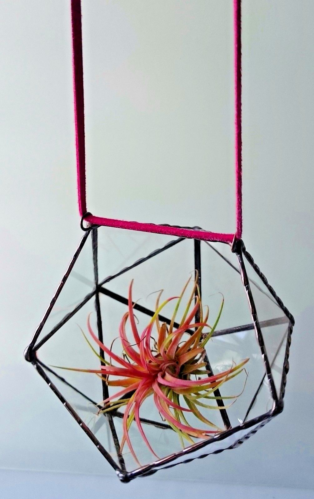 Stained Glass Terrarium Wall Hanging Black Frame Transparent, Planter For Indoor