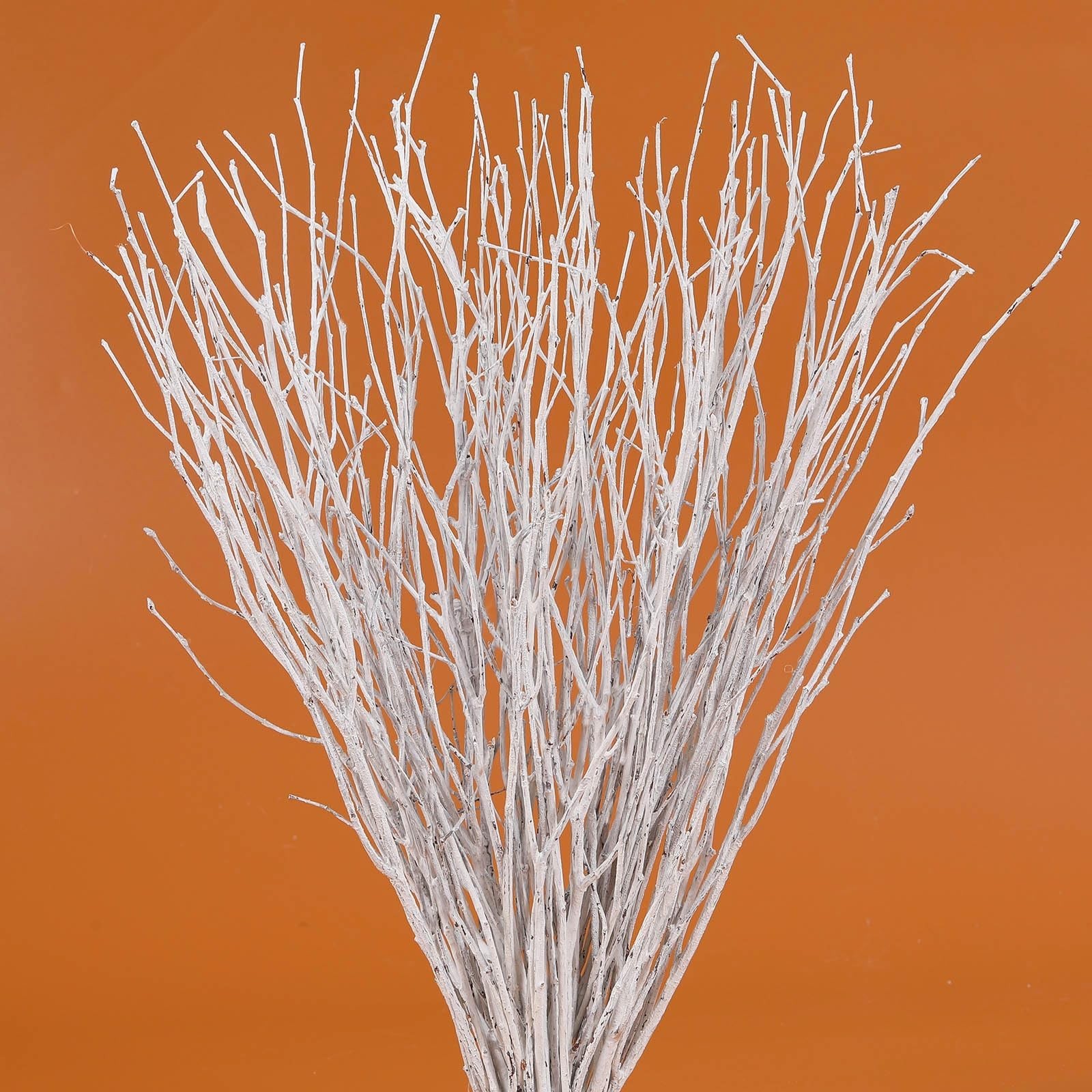 30 PCS Real Dried Birch Twigs 17 Inch White Decorative Branch Vase Decor