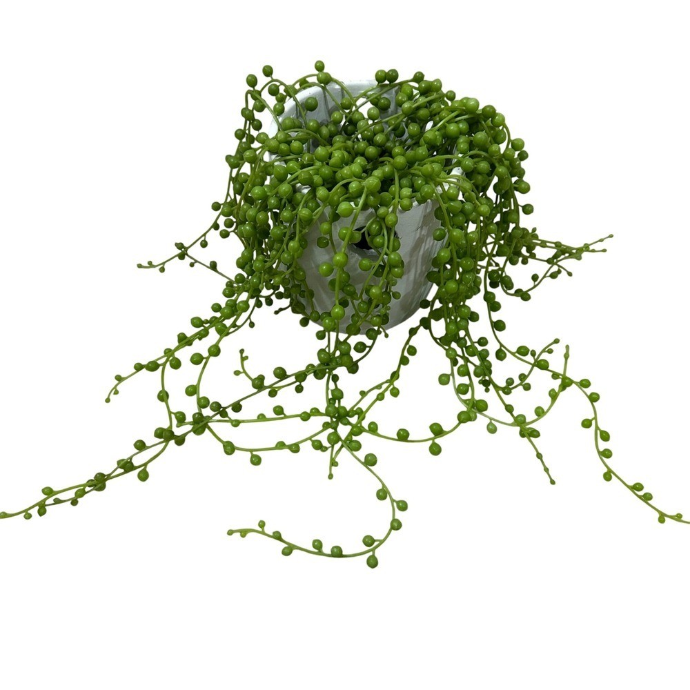Artificial String of Pearls Faux Succulent Plant in White Ceramic Pot 18.5in