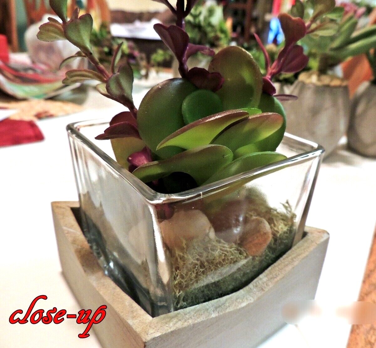 PRETTY FAUX SUCCULENT FLORALS in GLASS & WOOD CONTAINER NEW HANDMADE DECOR