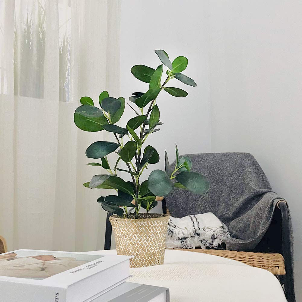 SAROSORA Artificial Ficus Tree Small Fake Plants in Weaved Pot 20″ Height for…