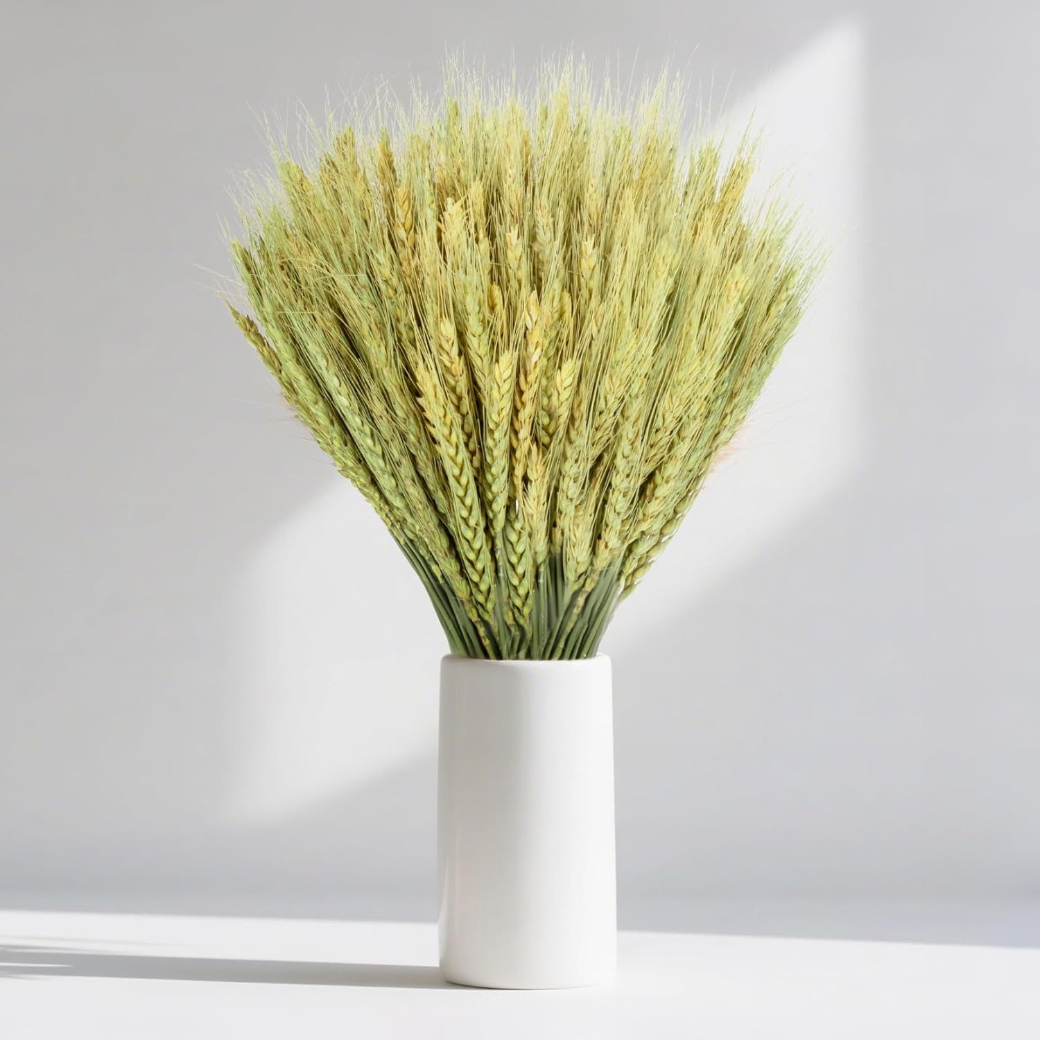 Dried Flowers for Vase – 50 Stems Natural Cyan Wheat Straw Grass 13.3 Inches Gra
