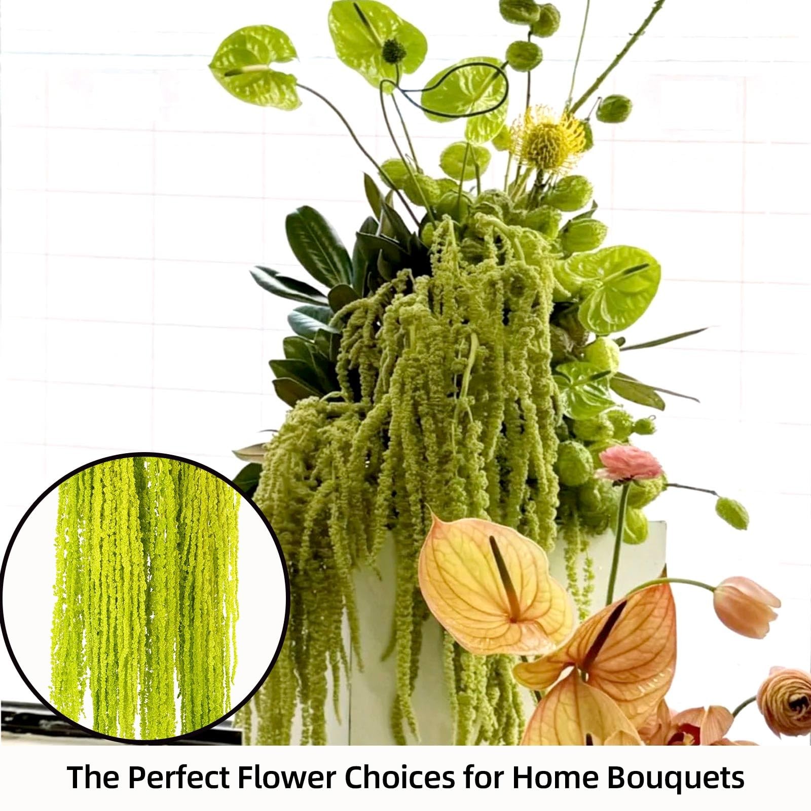 10 PCS 24 Inch Chartreuse Dried Amaranthus Hanging Flowers Natural Preserved