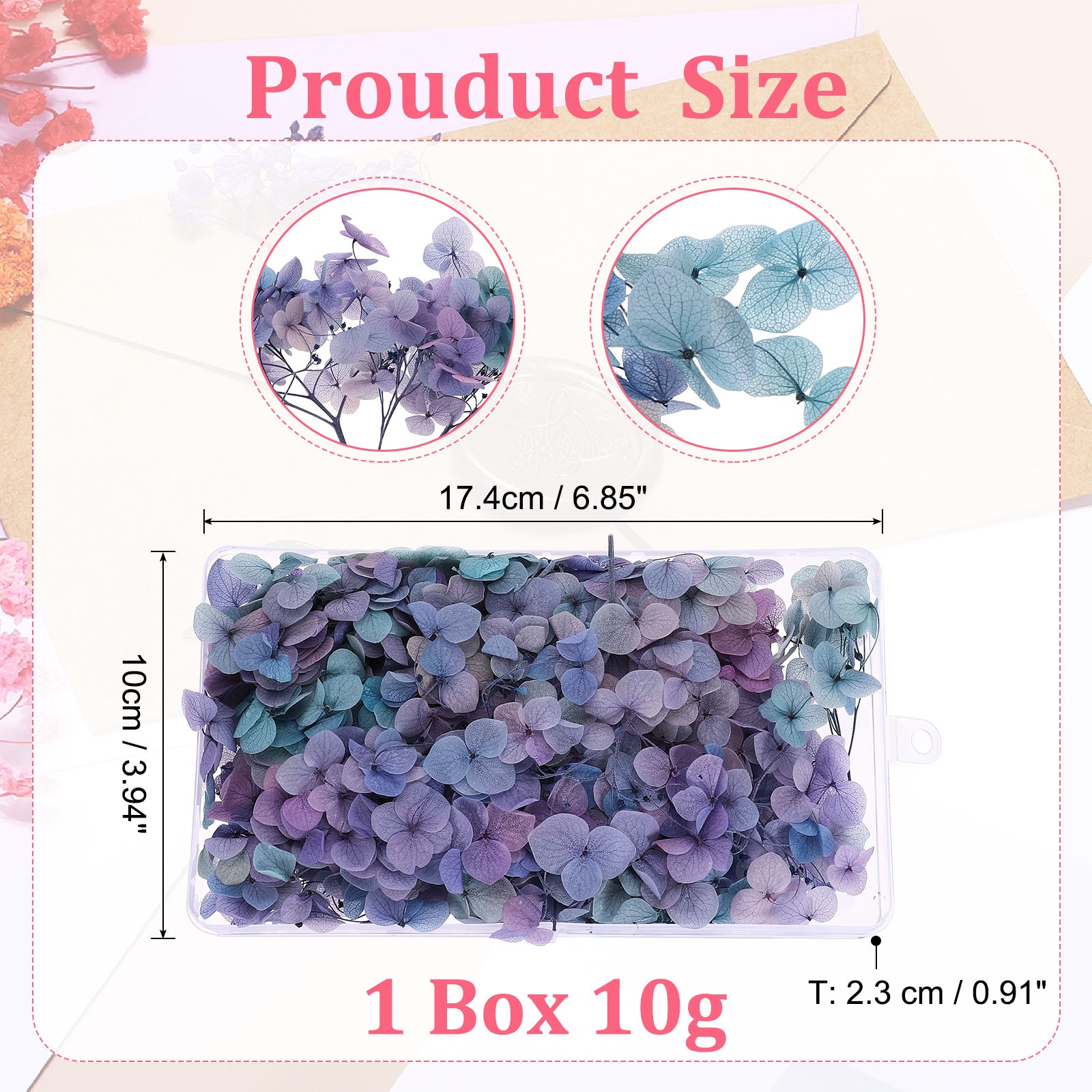 10g Mini Dried Hydrangea Flower Pressed Flower Gradient Light Blue Purple