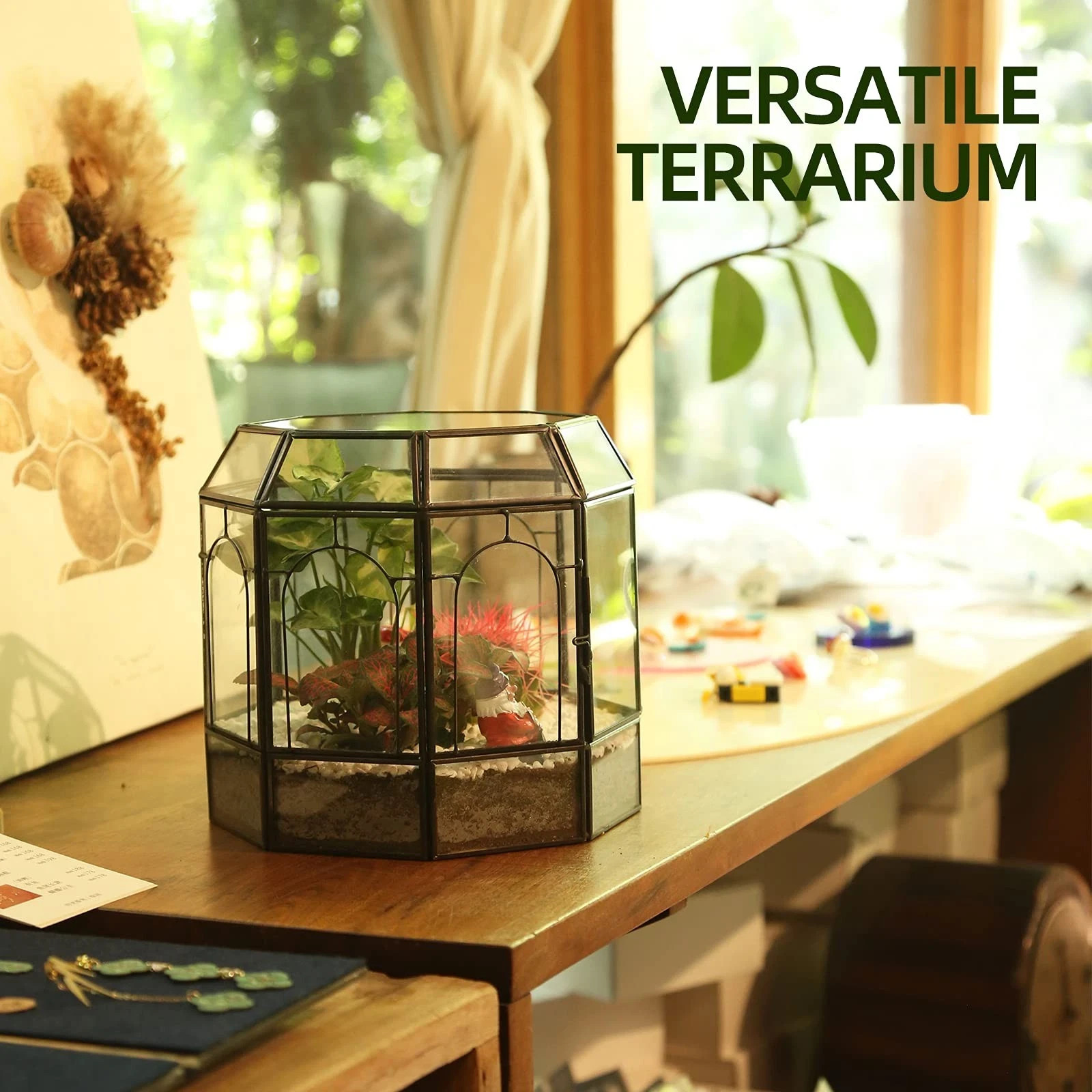 Large Glass Terrarium Centerpiece for Succulents, Cacti, Air Plants, Mini
