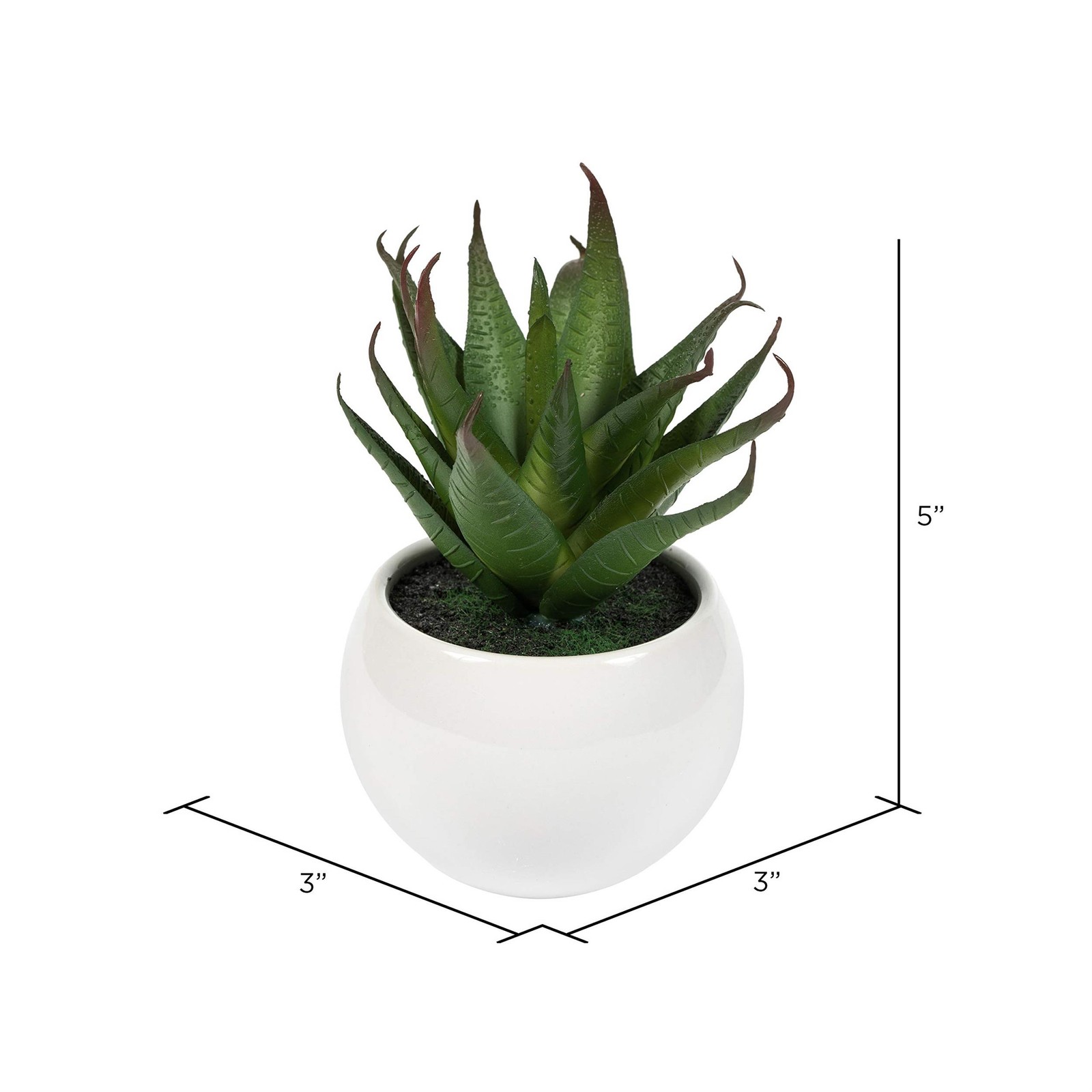 Vickerman 5″ Plastic Artificial Assorted Potted Succulents in Green/Red/Gray