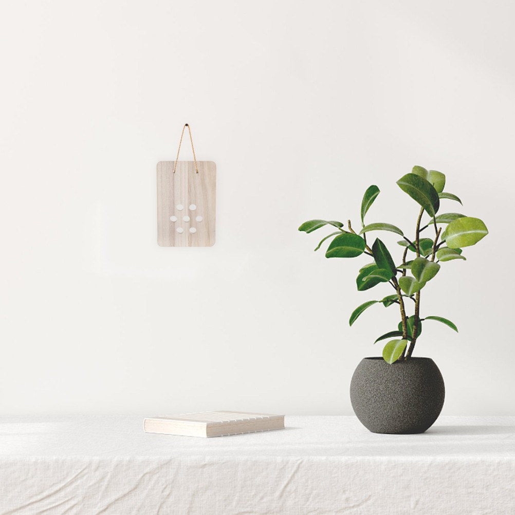 Fern Mounting Board: Wooden Planter – Wall Display Decorative