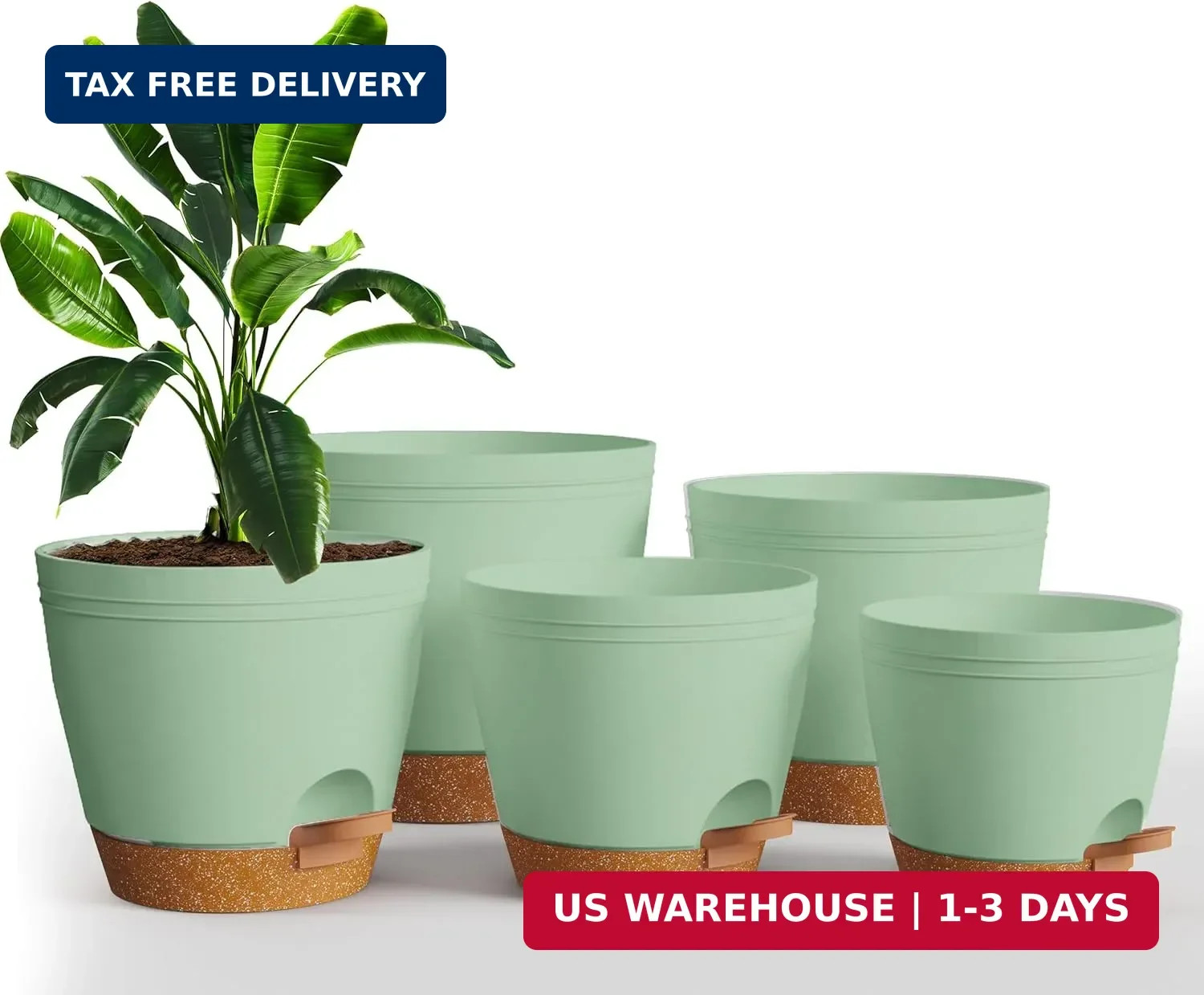 Self Watering Pots for Indoor Plants, Planters for Indoor Plants, Multi-Size …