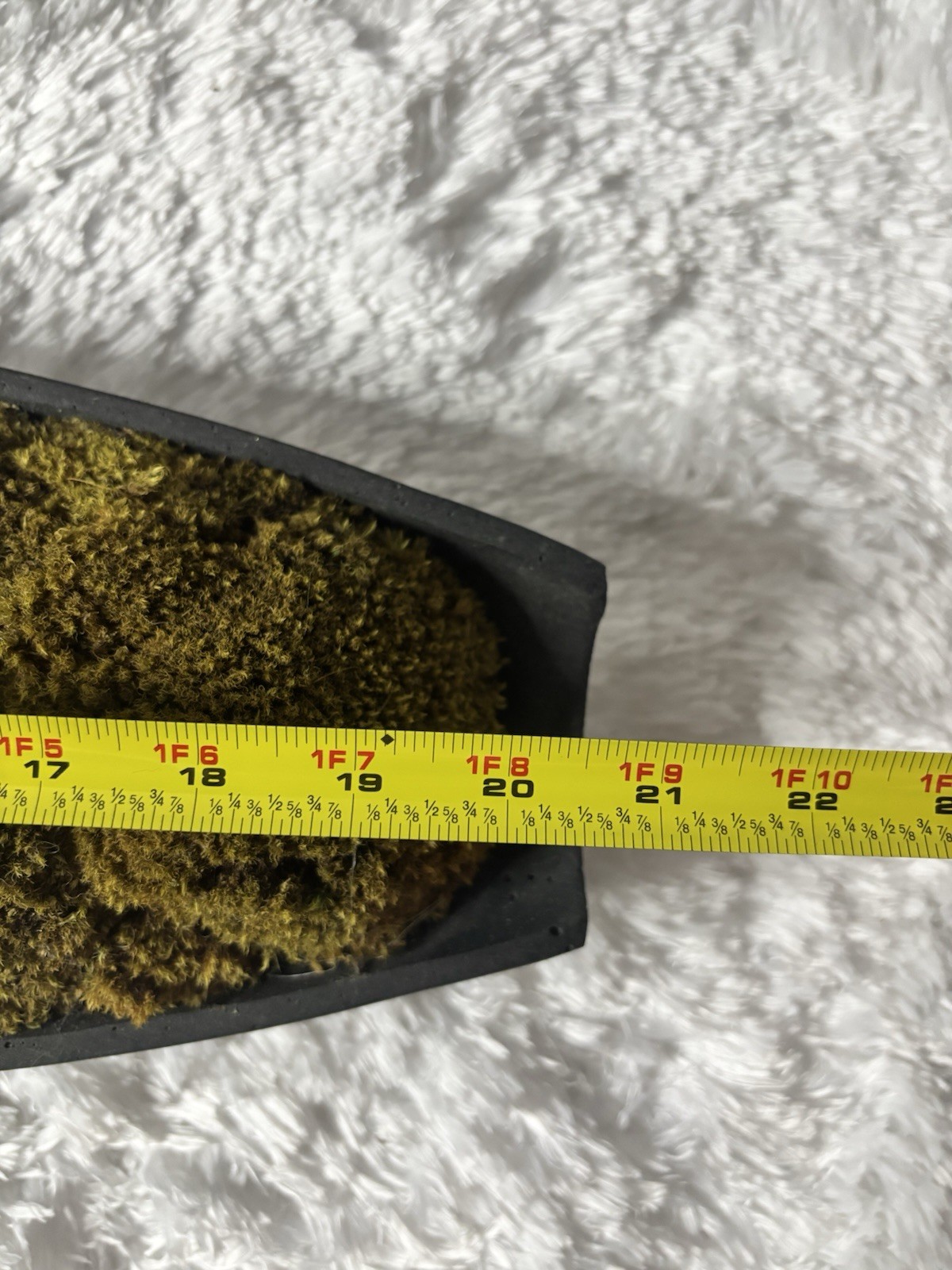 Moss centerpiece decor Dimensions 20.5” x L 6” x W 4-5 x H