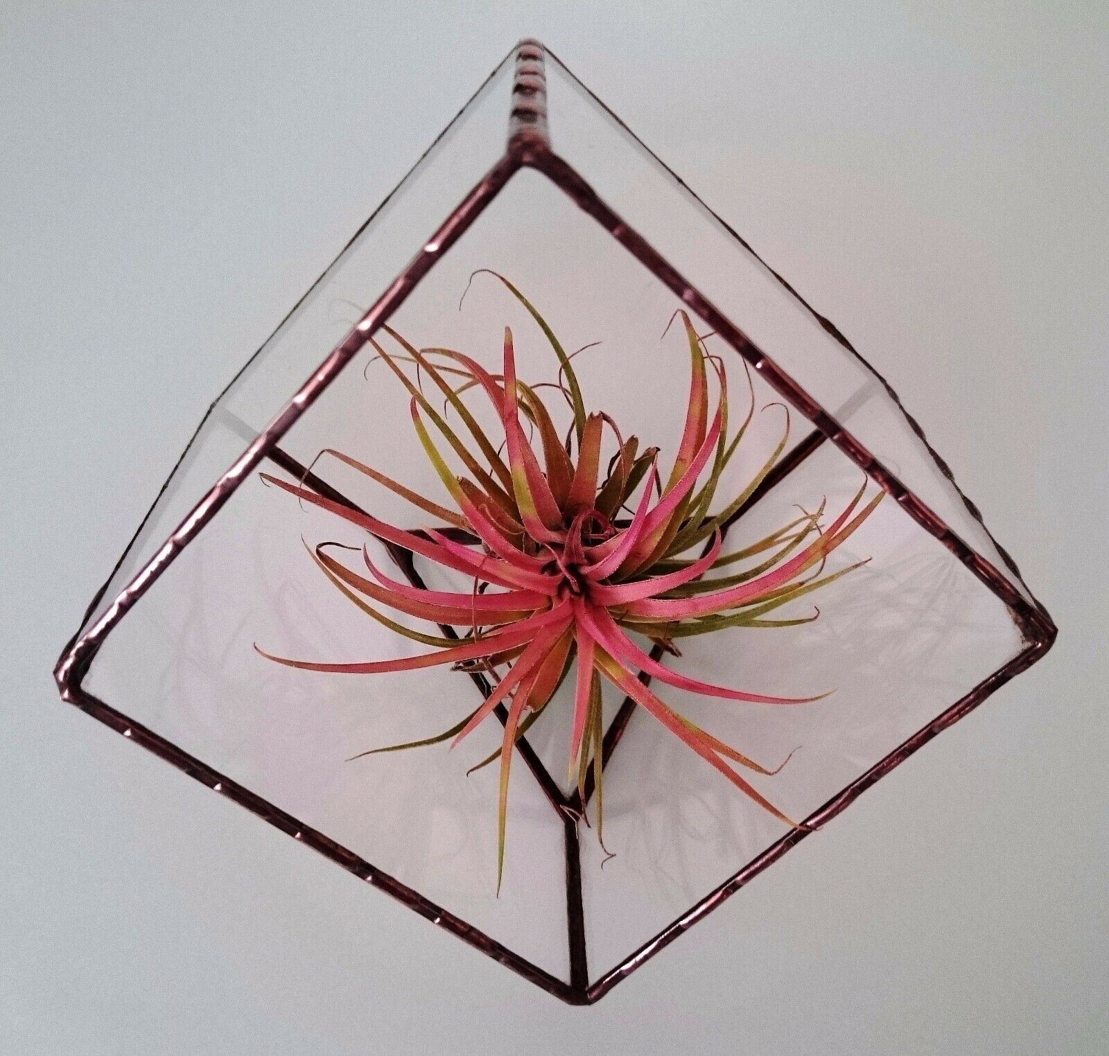 Stained Glass Terrarium Cube Geometric Transparent 2 mm Planter For Indoor