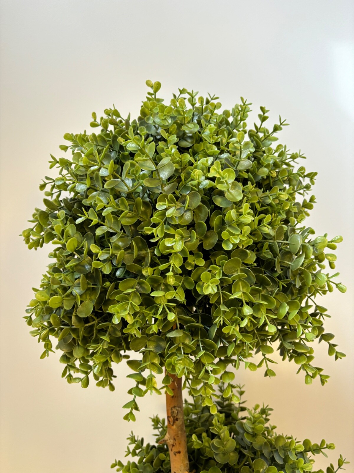 Wildwood & Cypress 57” 3-Ball Topiary Boxwood Tree Wood Trunk Outdoor Use Faux