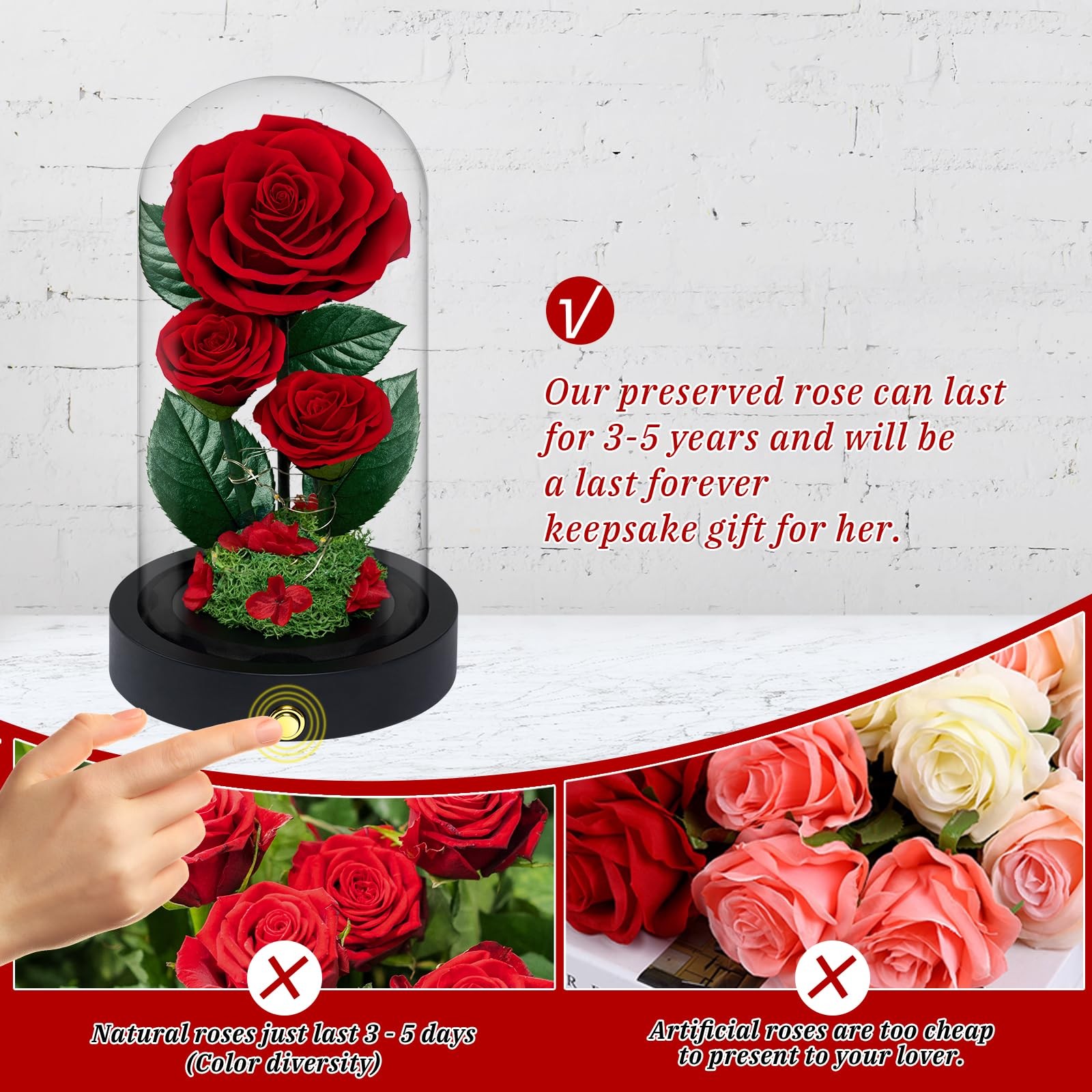 3 Preserved Flowers Roses in Glass Dome for Beauty and The Beast Decor Real R…