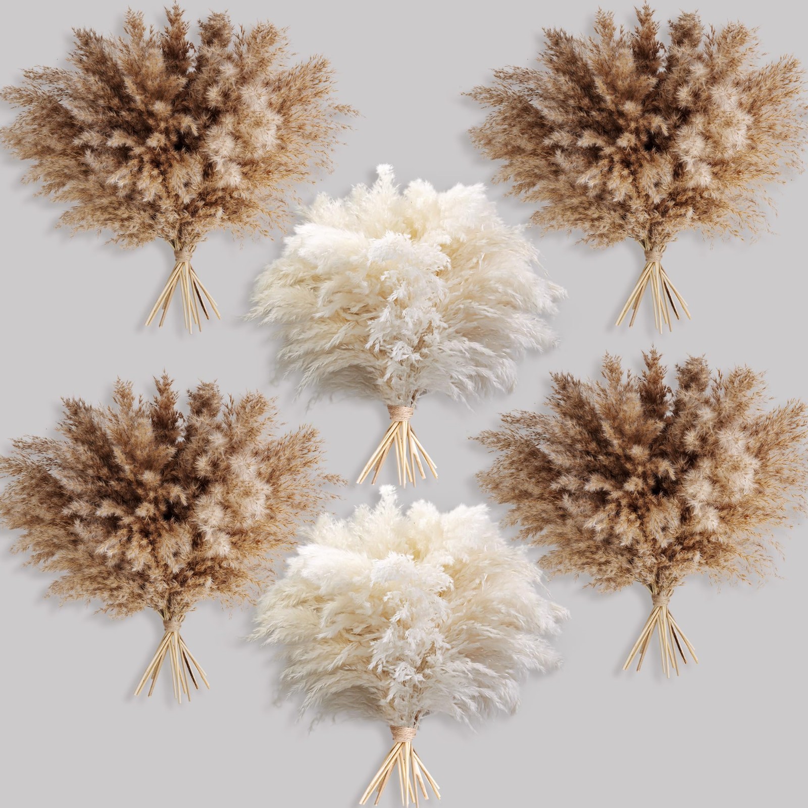 60 PCS Natural Pampas Grass – Fluffy Boho Decor for Home & Coffee Table, 17