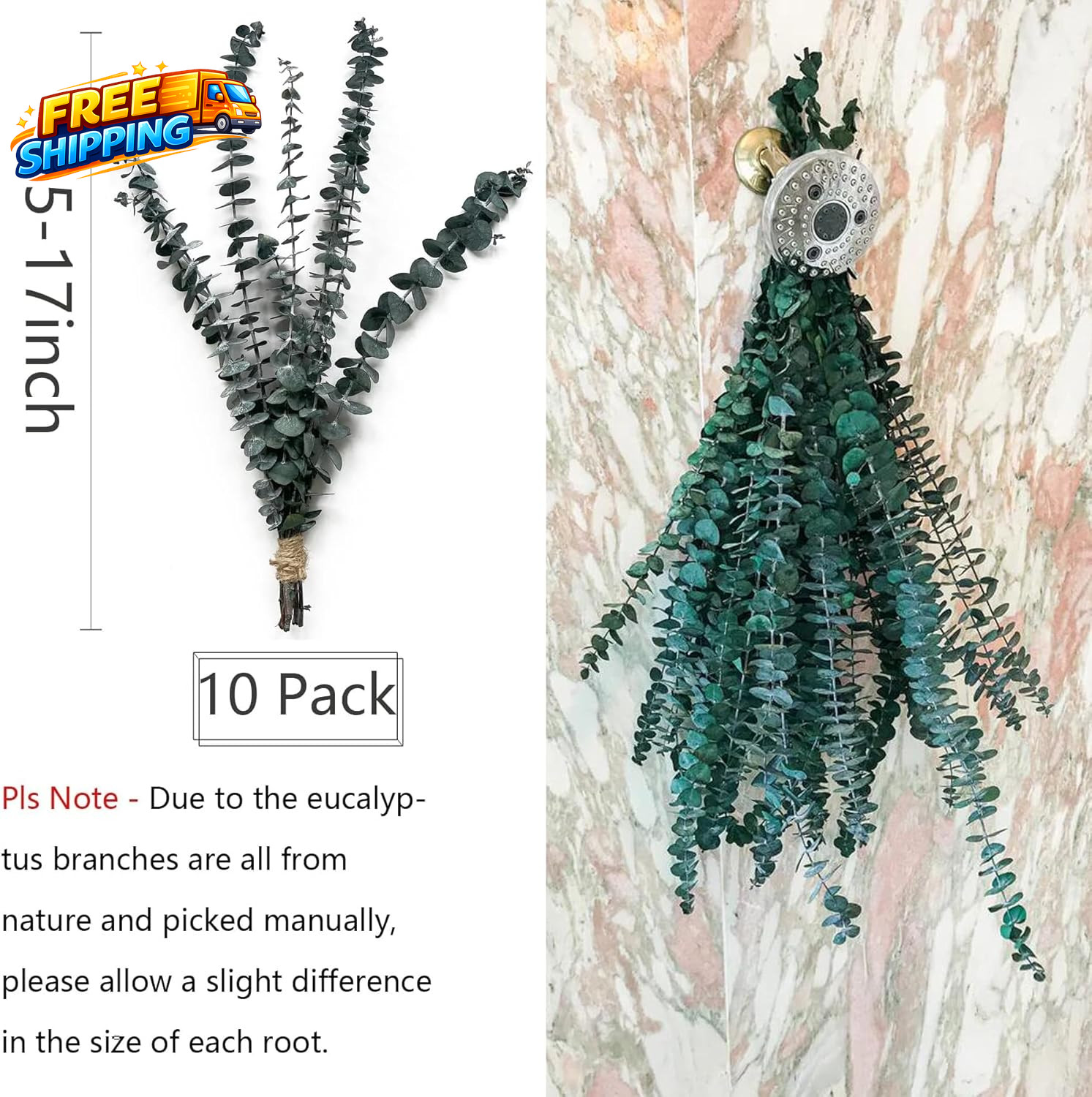 Eucalyptus for Shower 10 Pcs Hanging Dried Eucalyptu Stems 17 Real