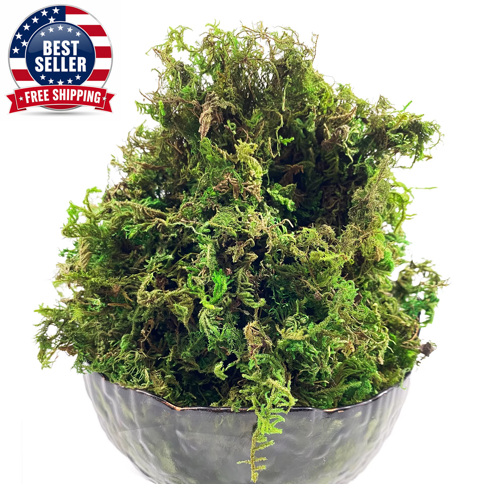 Artificial Moss Green for Potted Plant Orchid Potting Mix Peat Moss Pole Craft