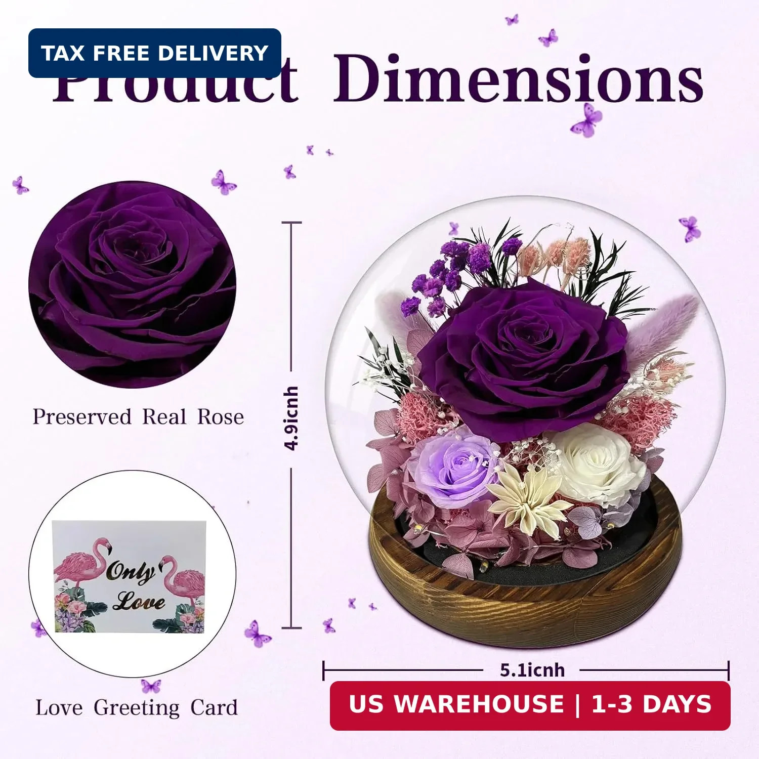 Birthday Gifts for Women Preserved Rose in Glass Dome Preserved Flowers Forever