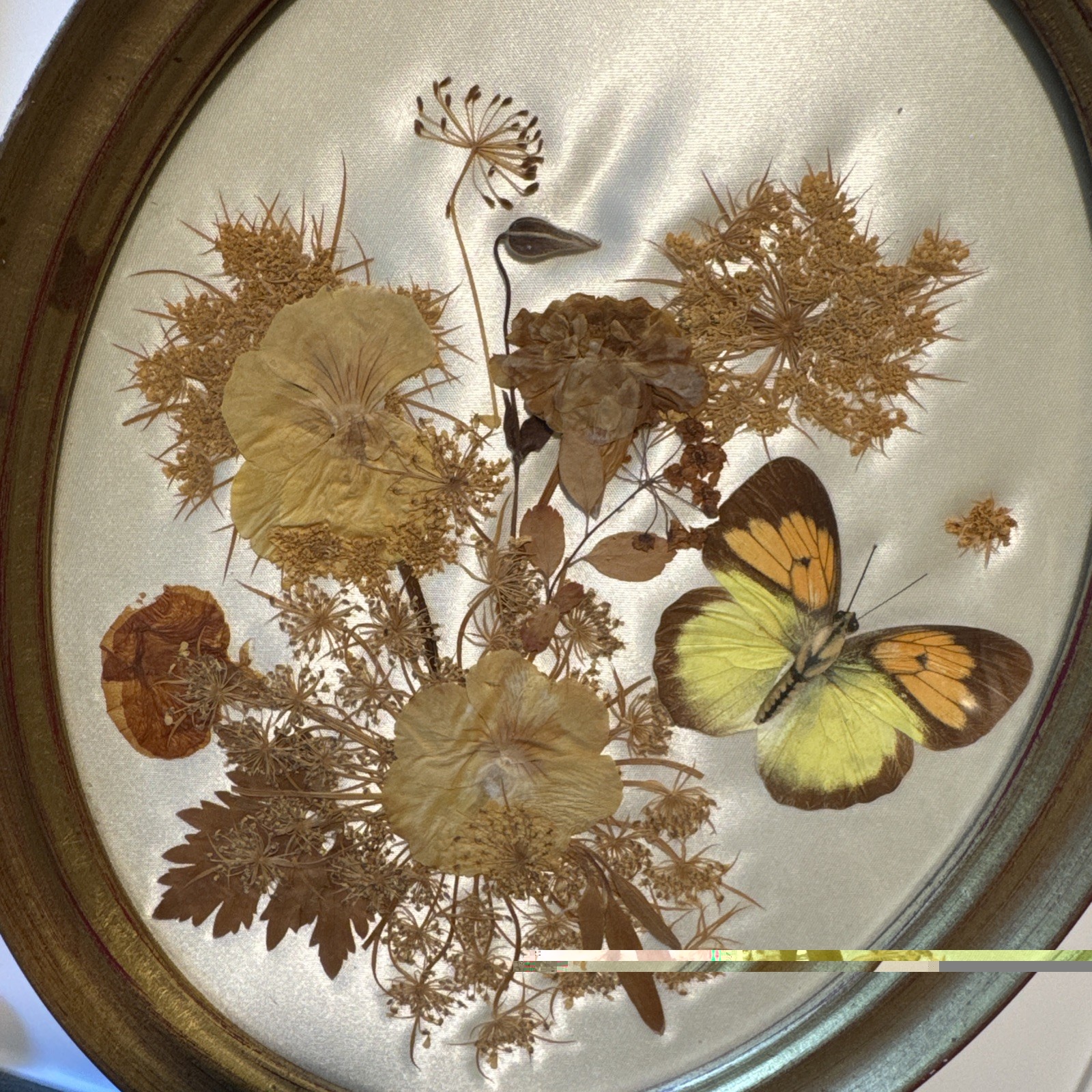 Vintage Framed Dried Pressed Flower Art Gold Frame Mini Floral Mildred Roberts