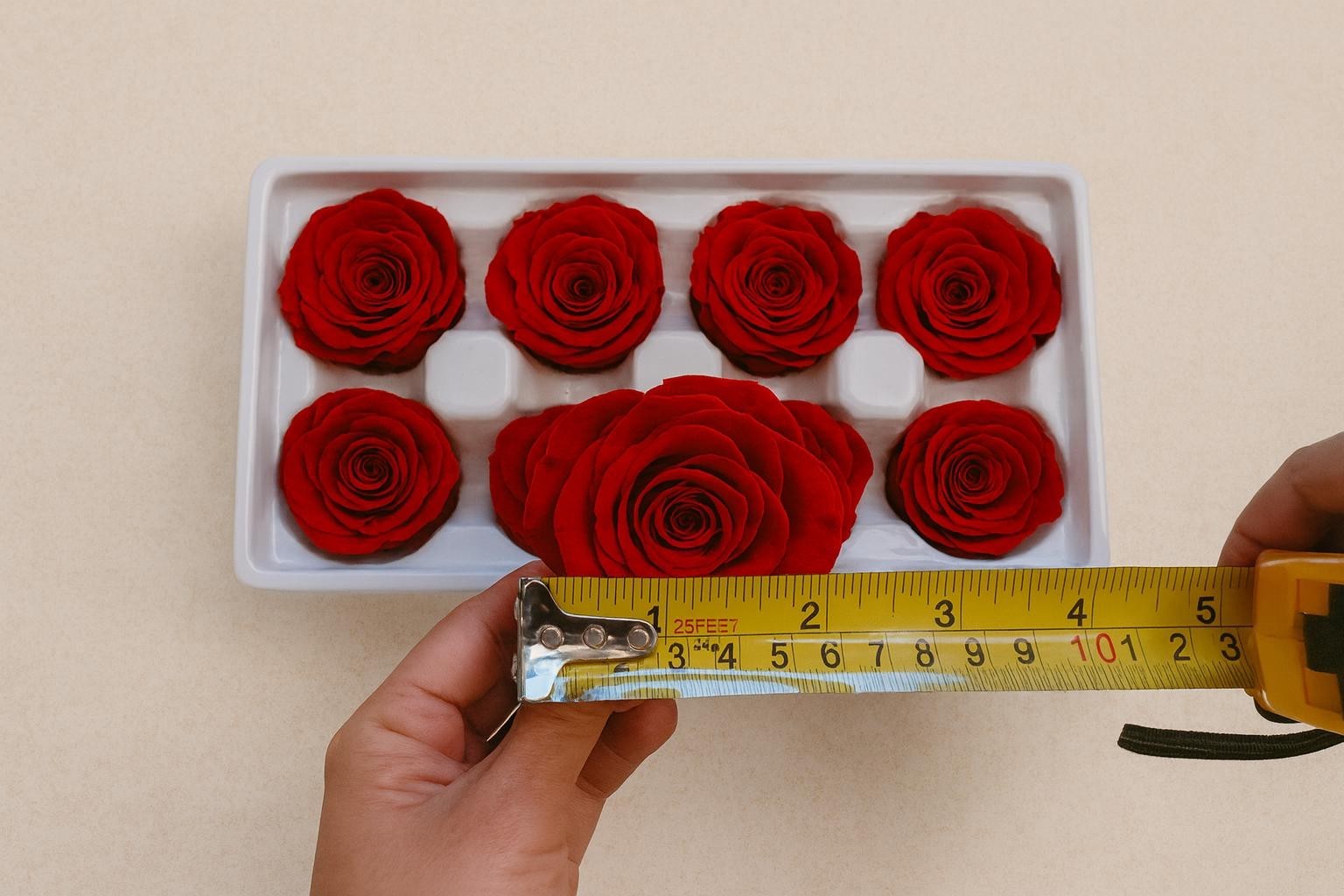 8 Preserved Red Roses Real Eternal Flowers DIY Crafts Wedding Gift Decor