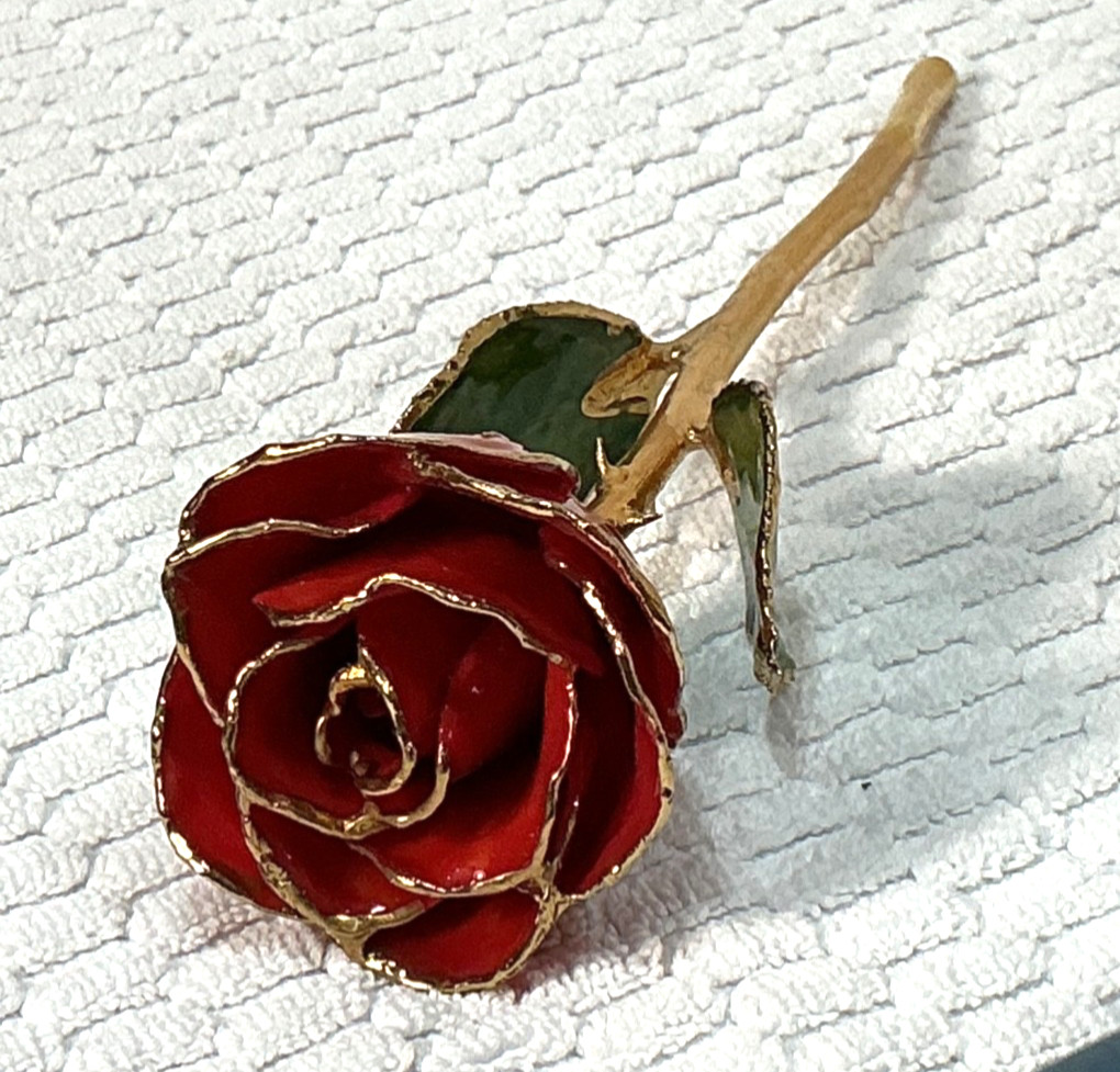 24k & Enamel Preserved Real Red Rose With Thorns Forever Keepsake