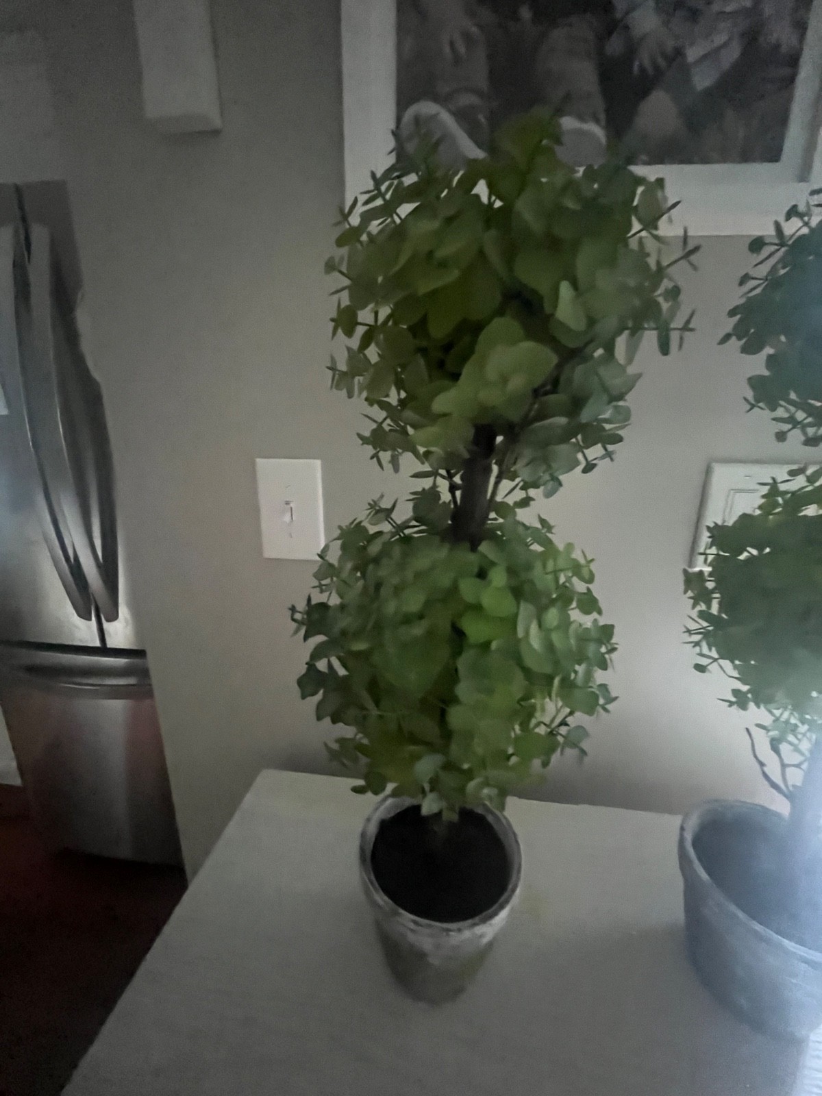 Faux boxwood topiary trees Set of 2, 23 inches in height
