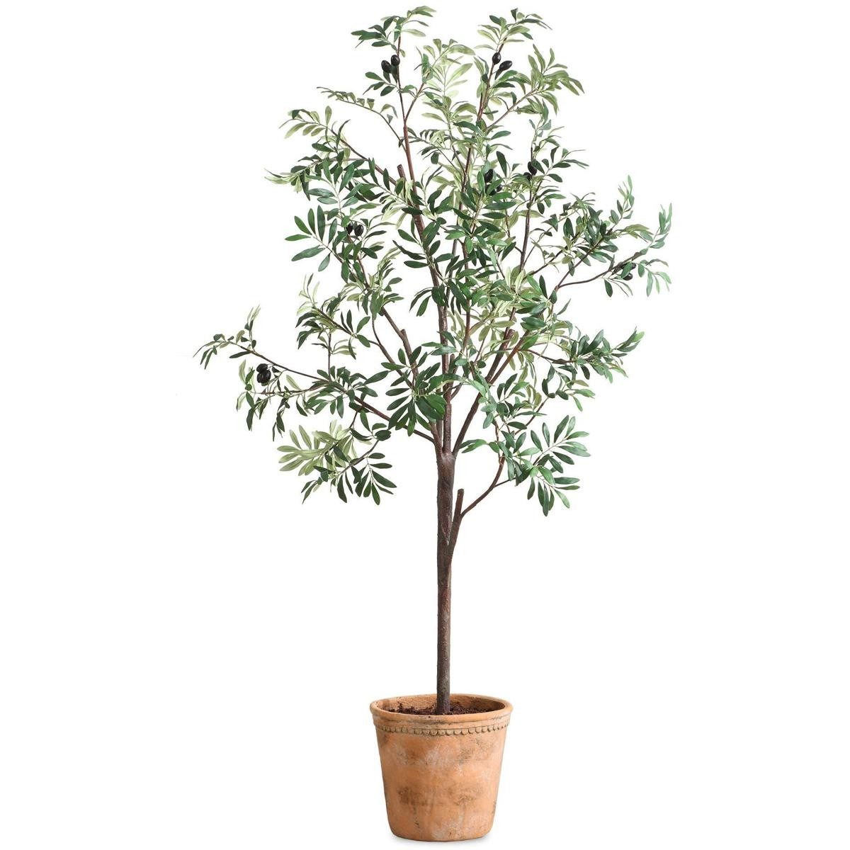 Uttermost 60241 Olea Green and Terracotta Potted Olive Tree