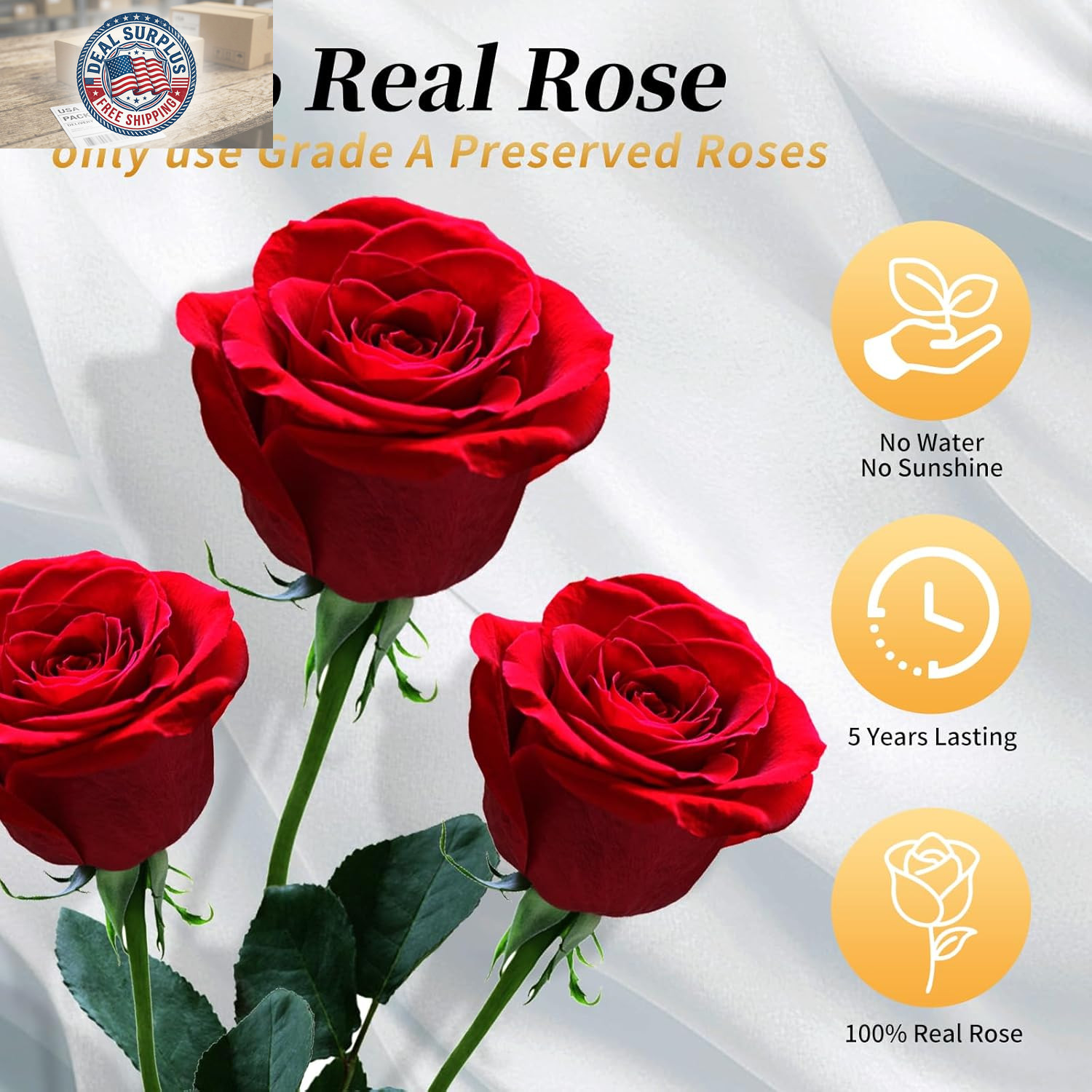 Forever Flowers Roses in a Box,Real Preserved Flowers,Preserved Roses,Preserved