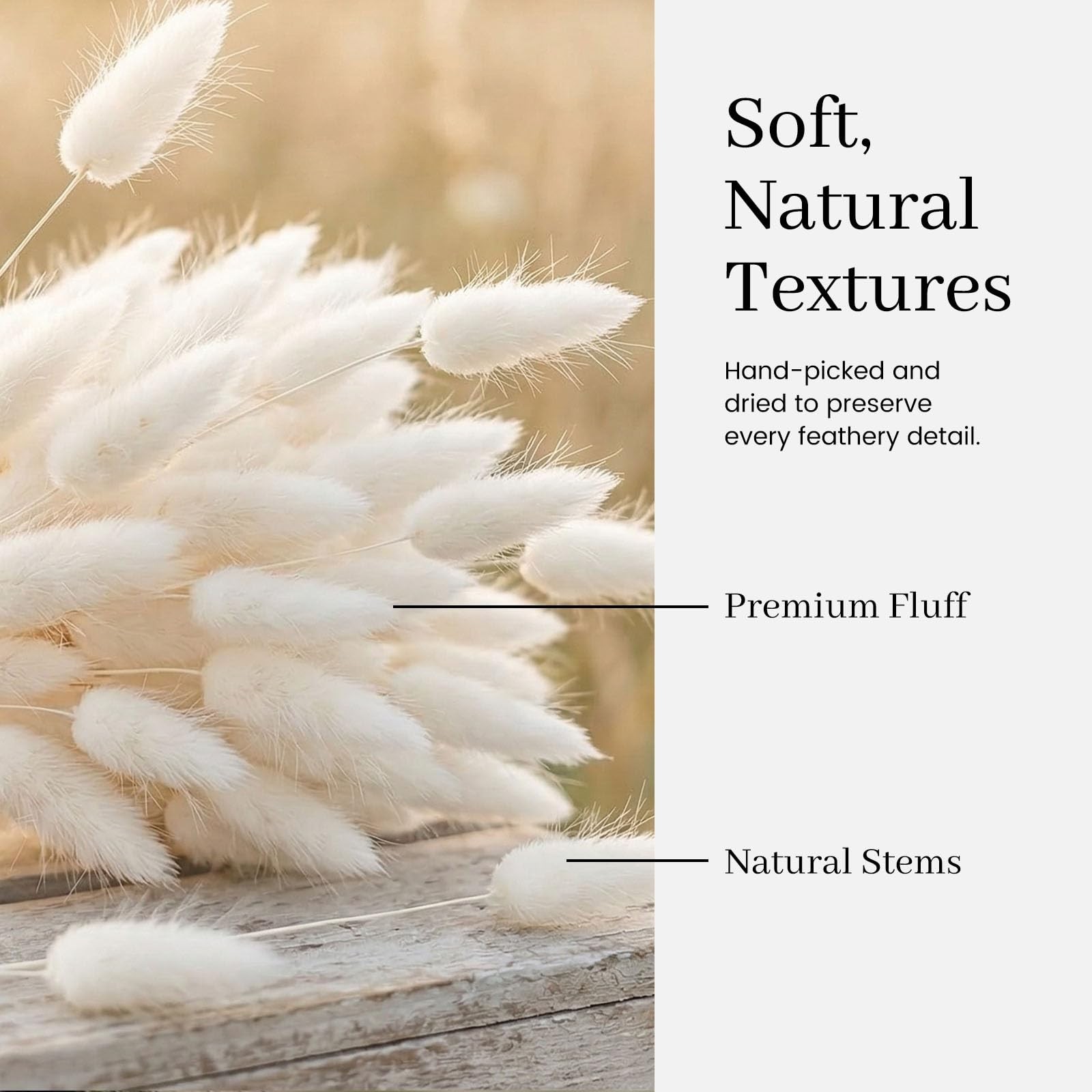 120PCS Dried Pampas Grass Decor, 17inch White Bunny Tails Dried Flowers, Bunn…