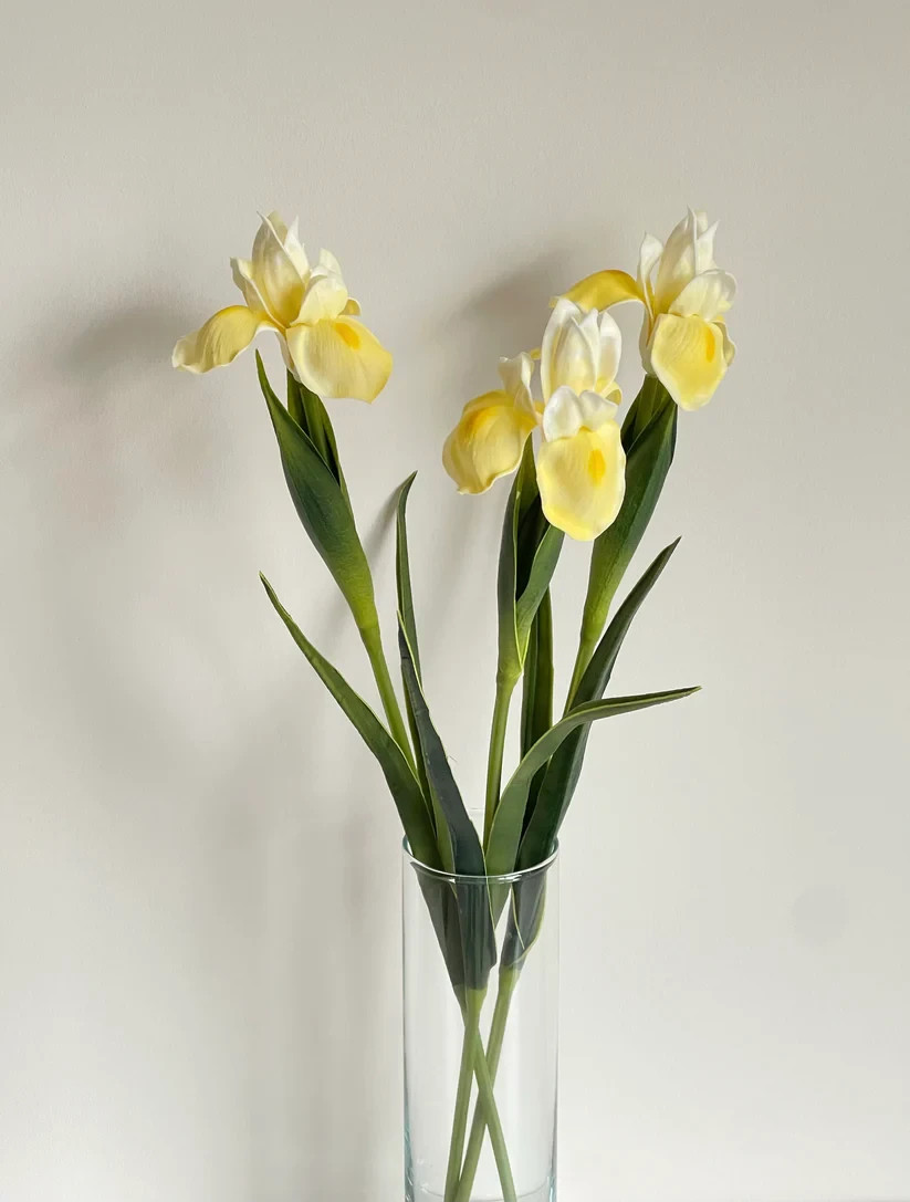 Fake Long Stem Iris Real Touch Artificial Flower (24 Stems)