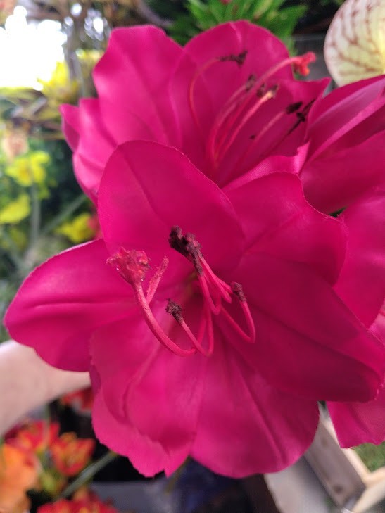 Artificial amaryllis stem. silk flower floral arrangements.