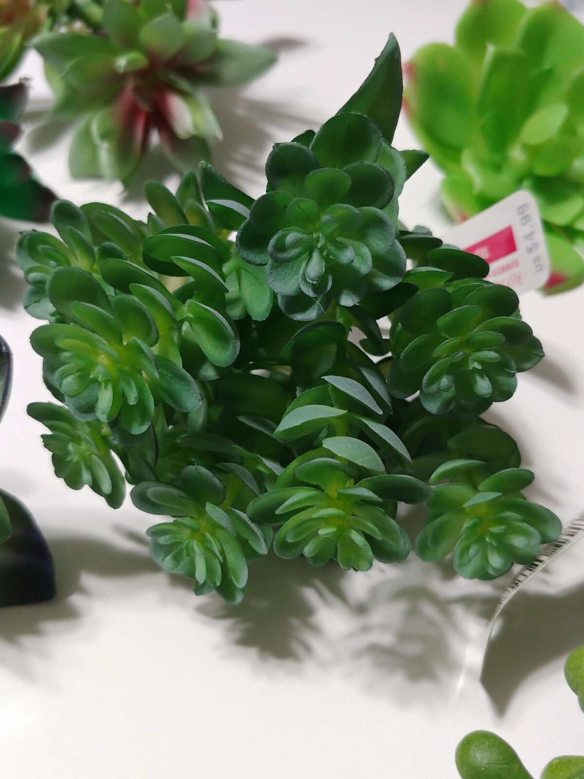 Lot of 16 Ashland Succulents Greenery Floral Picks Sizes 1.5″ to 11″ Craft Decor