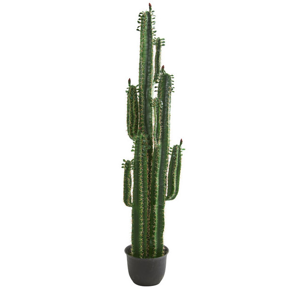 Cactus faux Plant Realistic Natural 6.5’ Decor