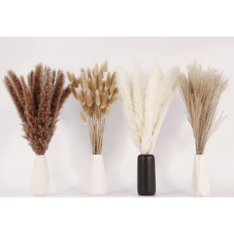 Natural Dried Pampas Grass Bouquet 100 Pieces Decor Home Wedding Events New